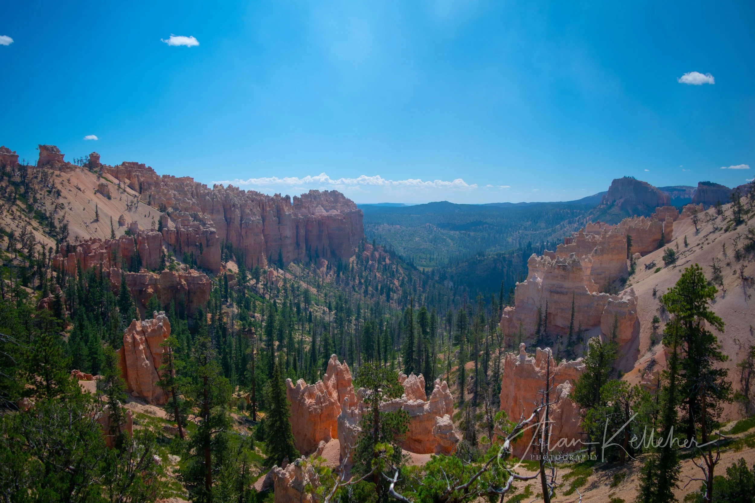 _DSC0391.jpg