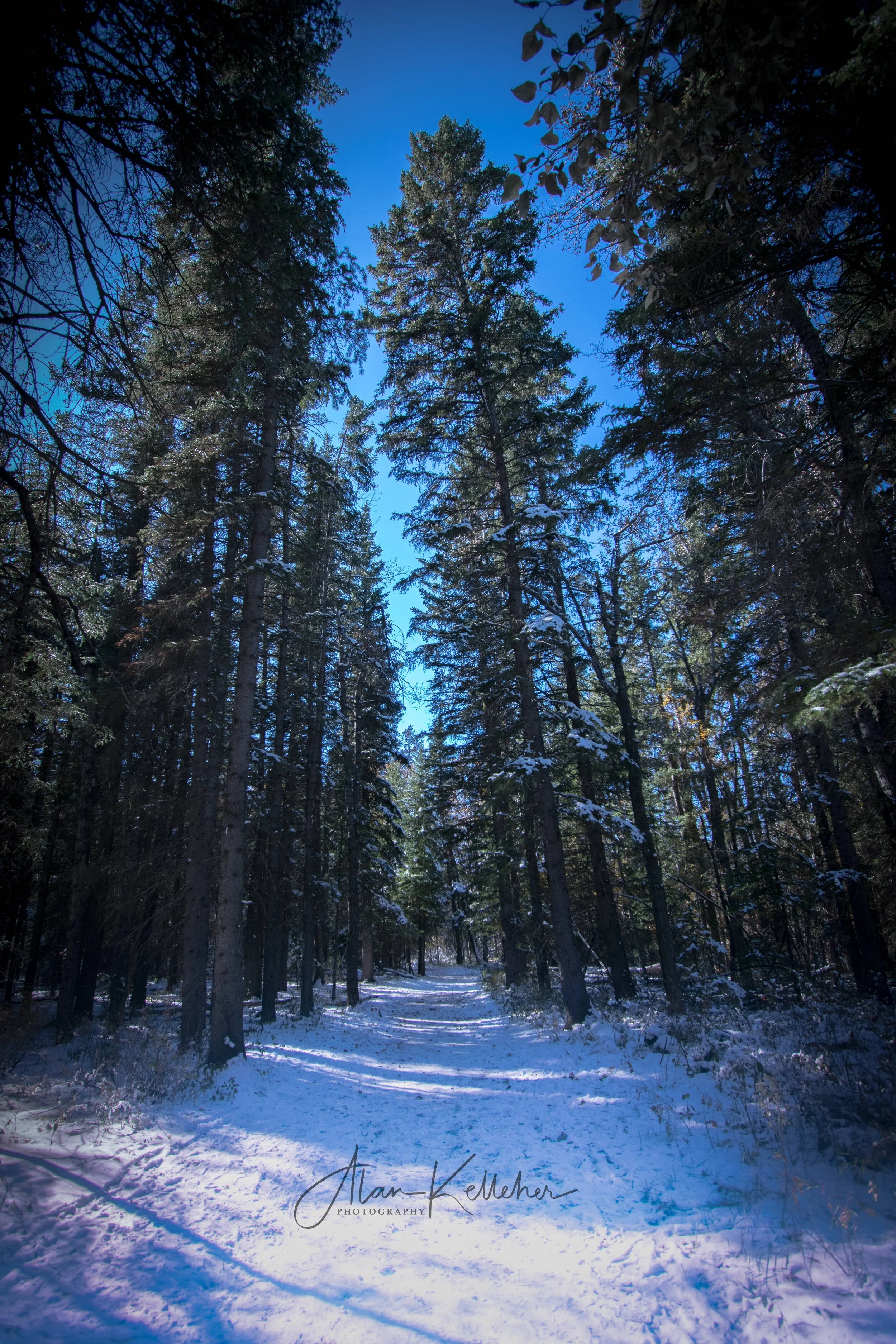 Calgary-3.jpg