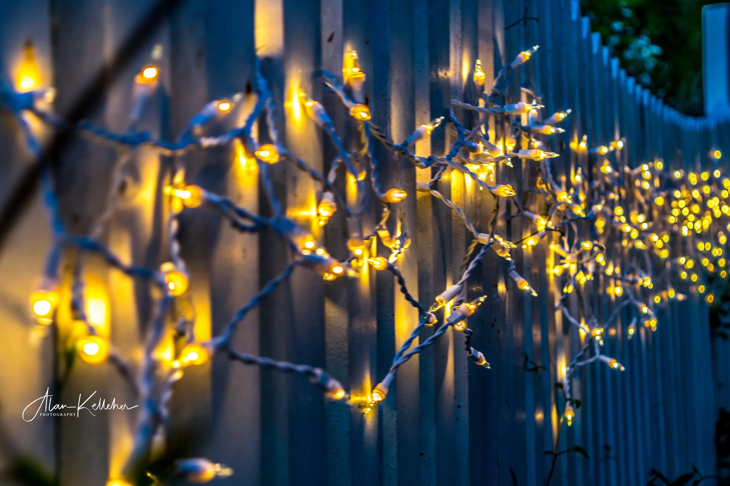 Yellow Lights.jpg