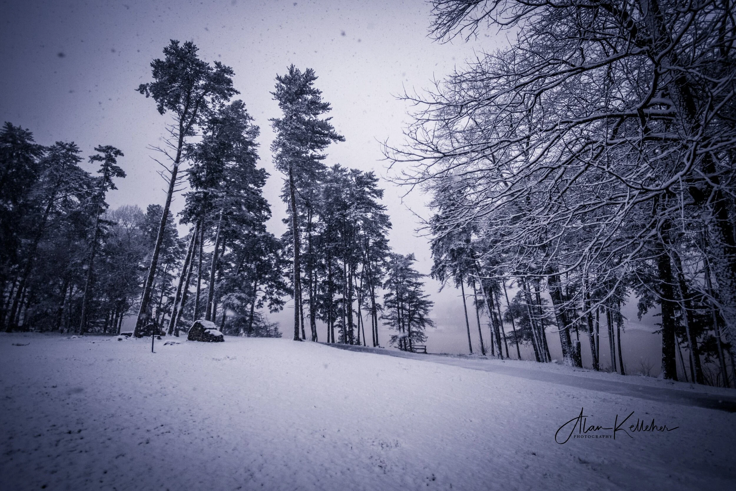 Laurel Park Snow-2.jpg