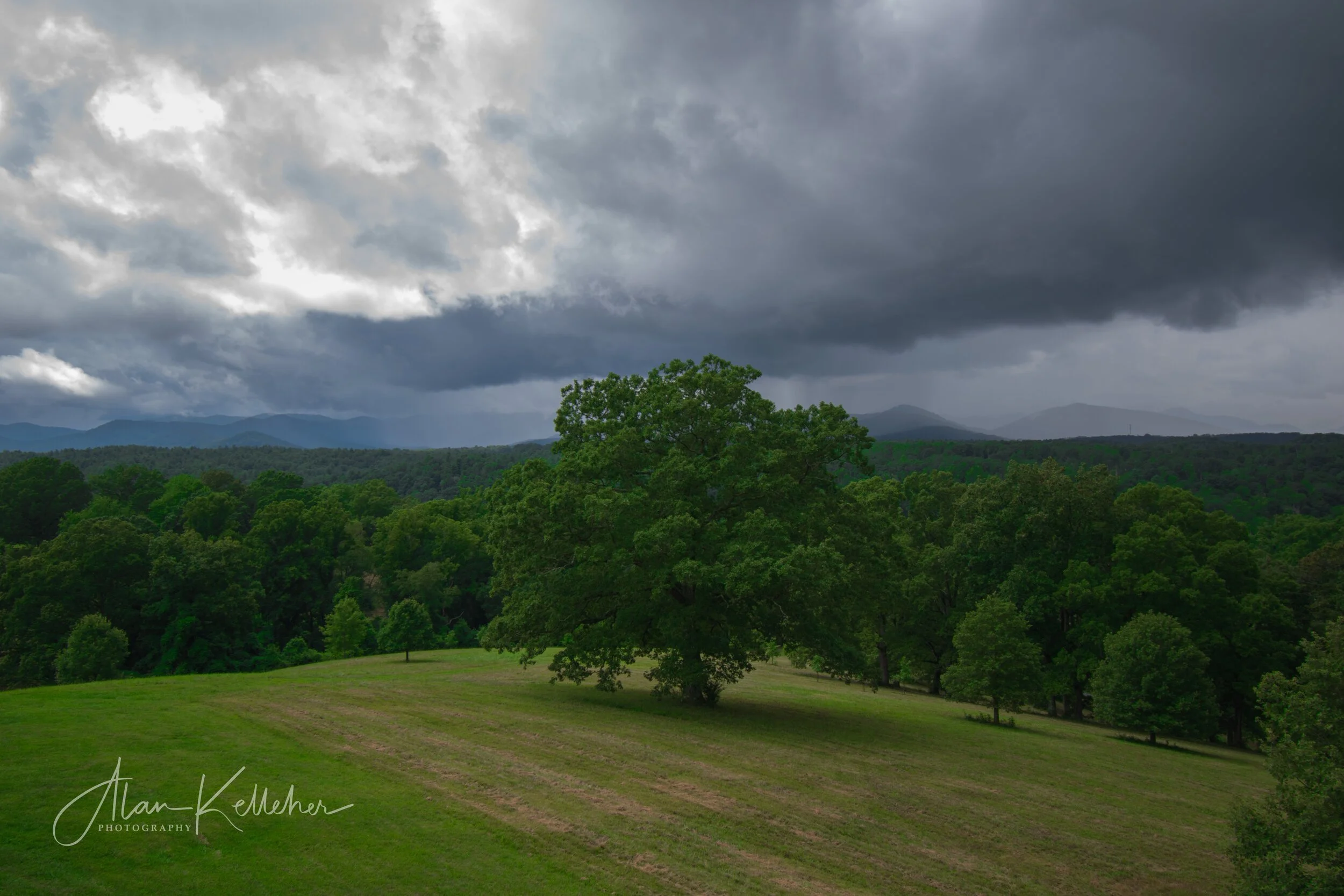 Asheville-12.jpg