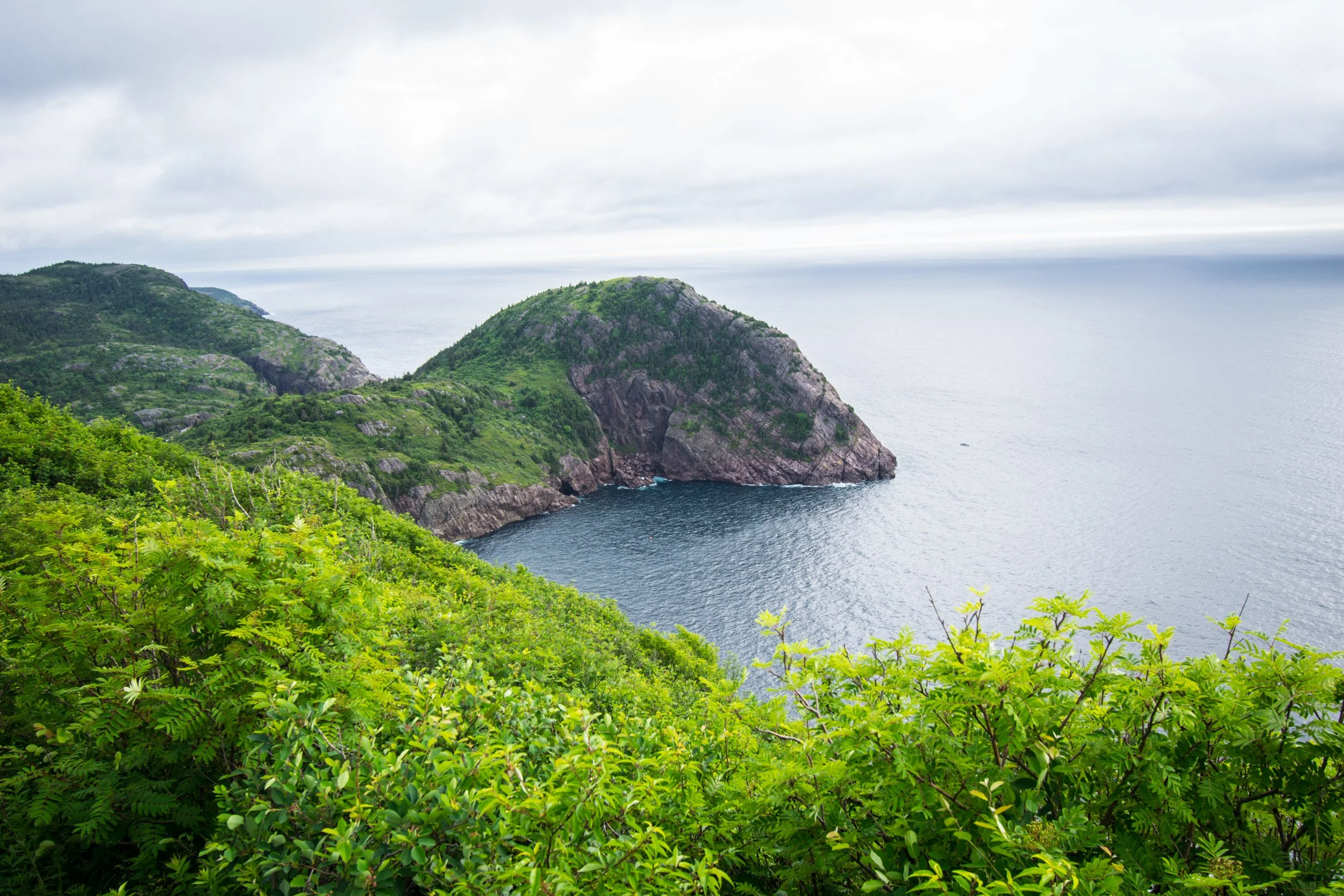 Newfoundland-7.jpg
