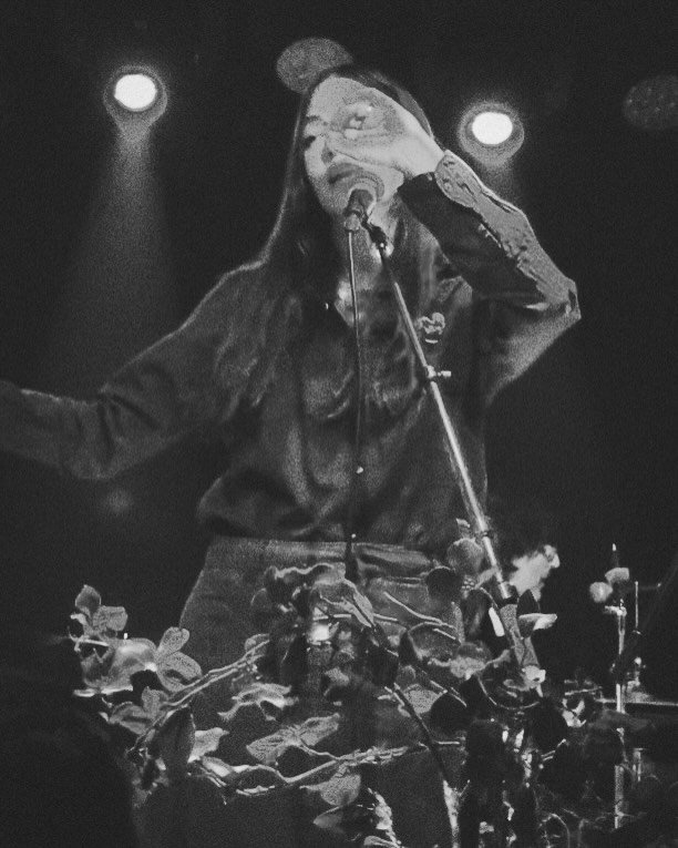 🌹I am thrilled to let my Hudson Valley people know that on May 30th, 2025 the most special Mike Amari { @mikeamarieats }  will be opening our upcoming show at @thelocalsaugerties !

🌹Mike has been bringing incredible talent to our Zone well before 
