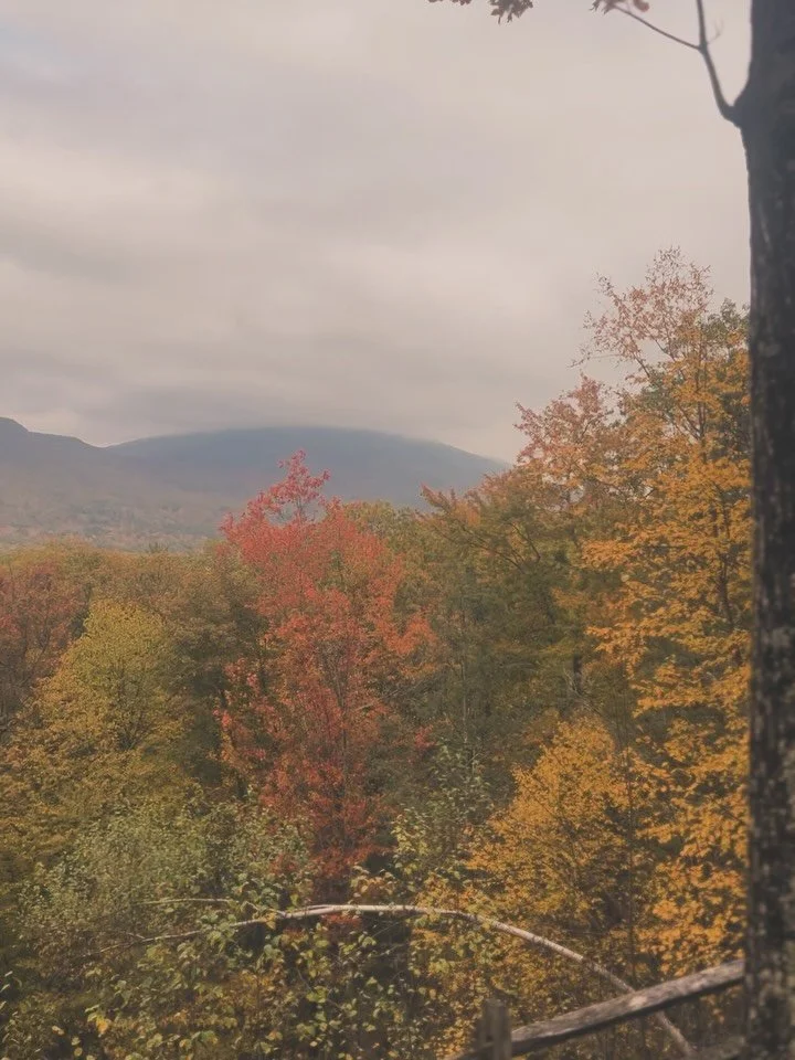 ❧ i Love you ☙

&bull;. &bull;&bull;&bull; A few Pictures &amp; Videos from October. rather self explanatory but the last one is 2 Dragonflies mating. See you soon. 

🪾🍂,
ร&alpha;ɳ&part;ყ