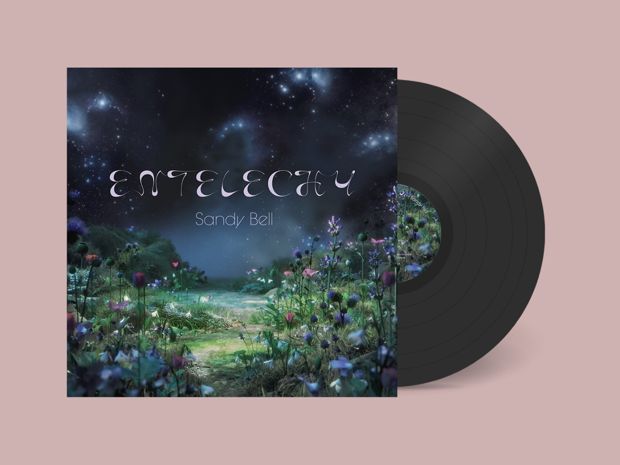 Entelechy LP Vinyl.png