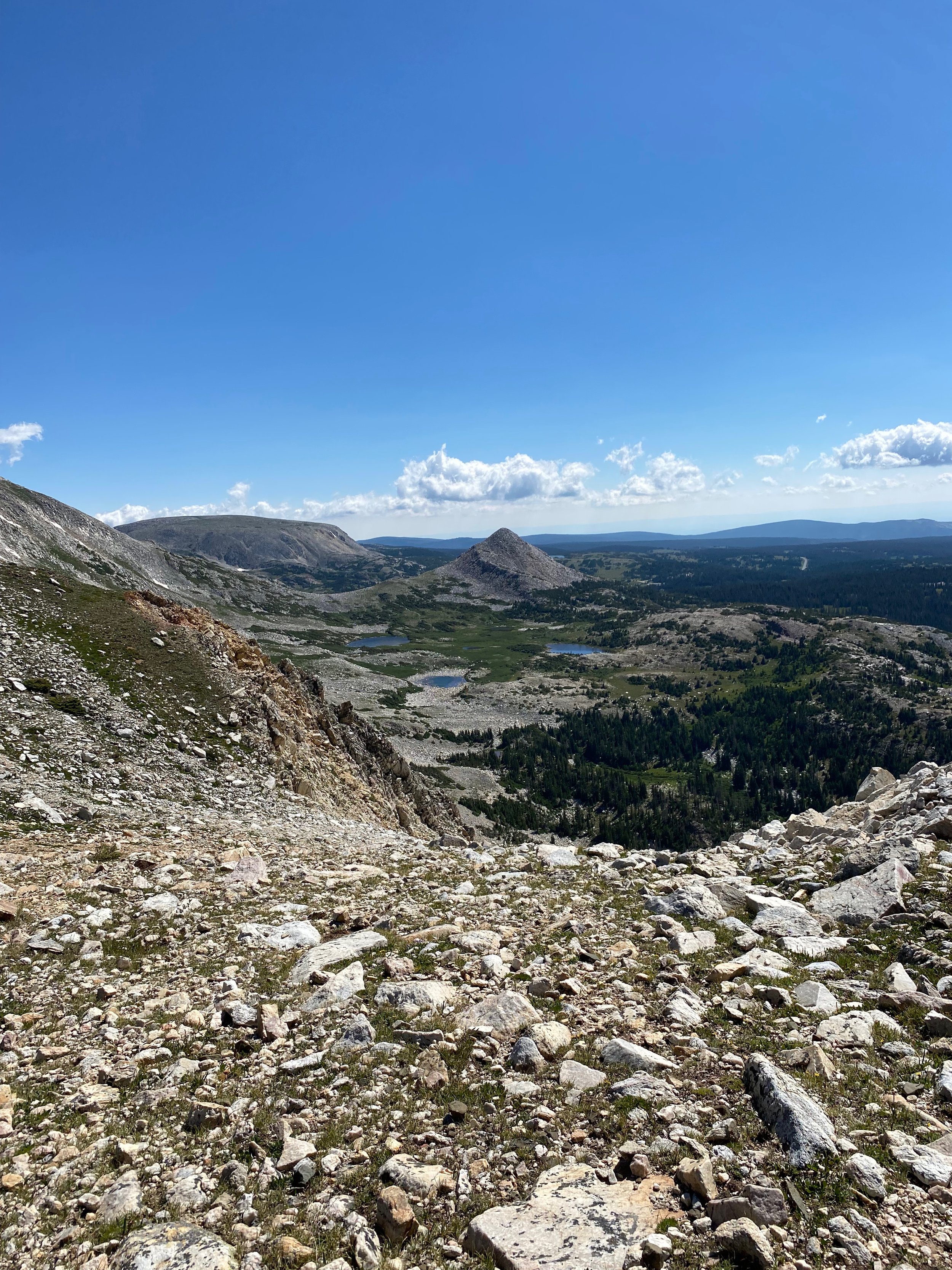 trail to medicine bow peak.jpeg