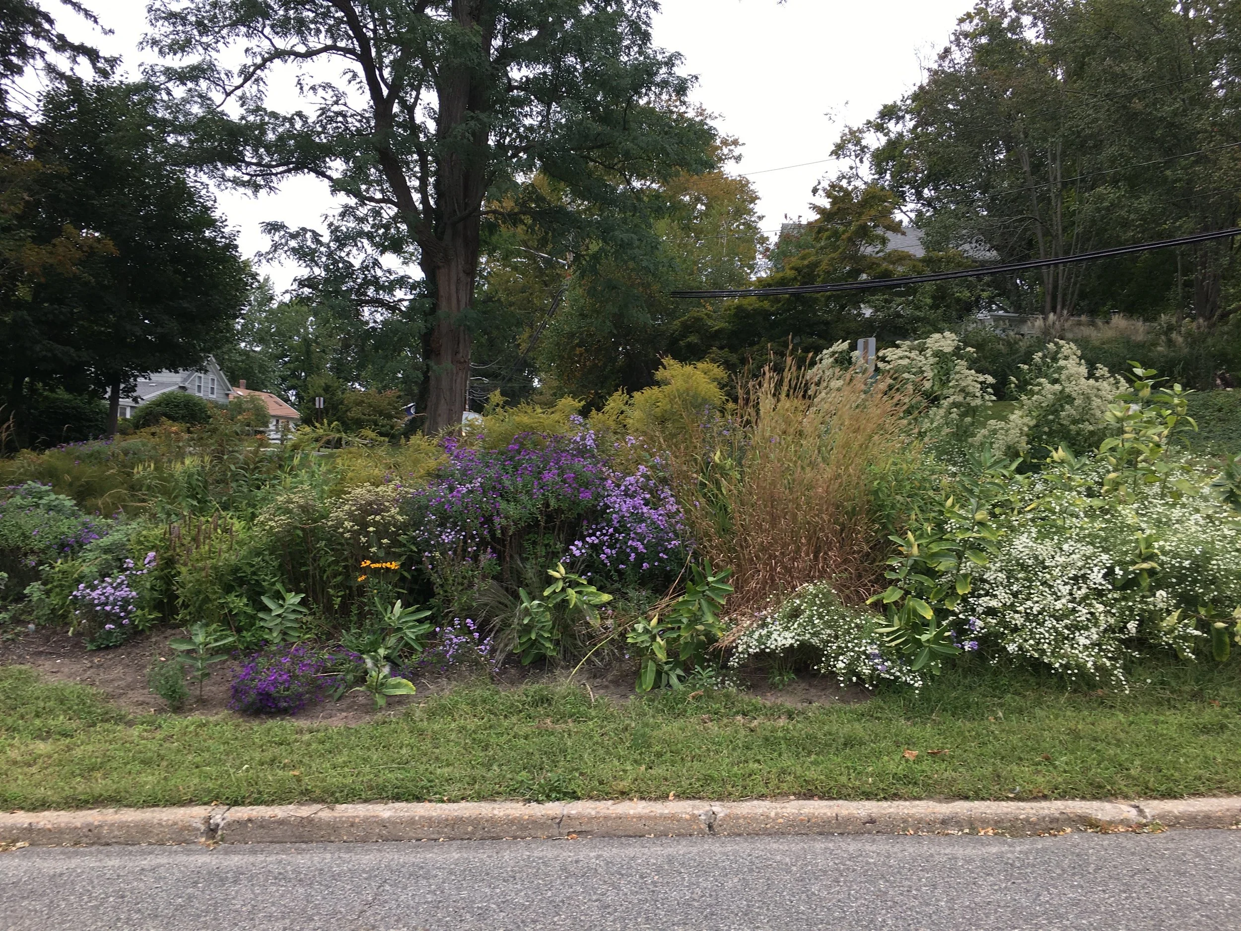 Traffic Island, Port Jefferson
