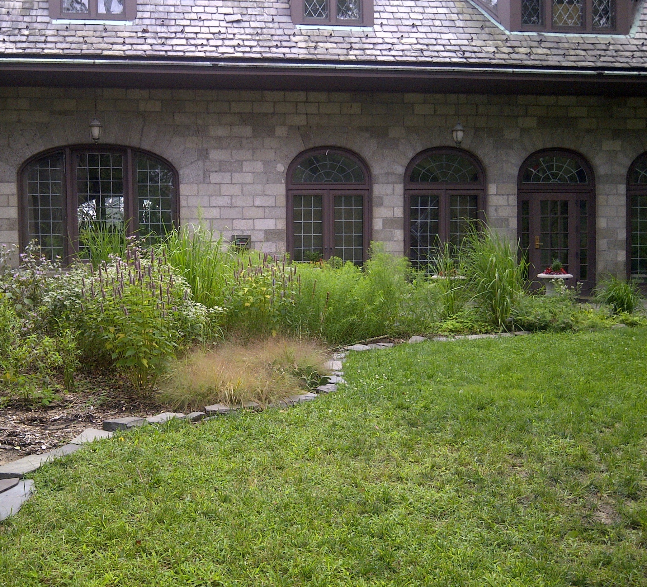 Native Plant Garden