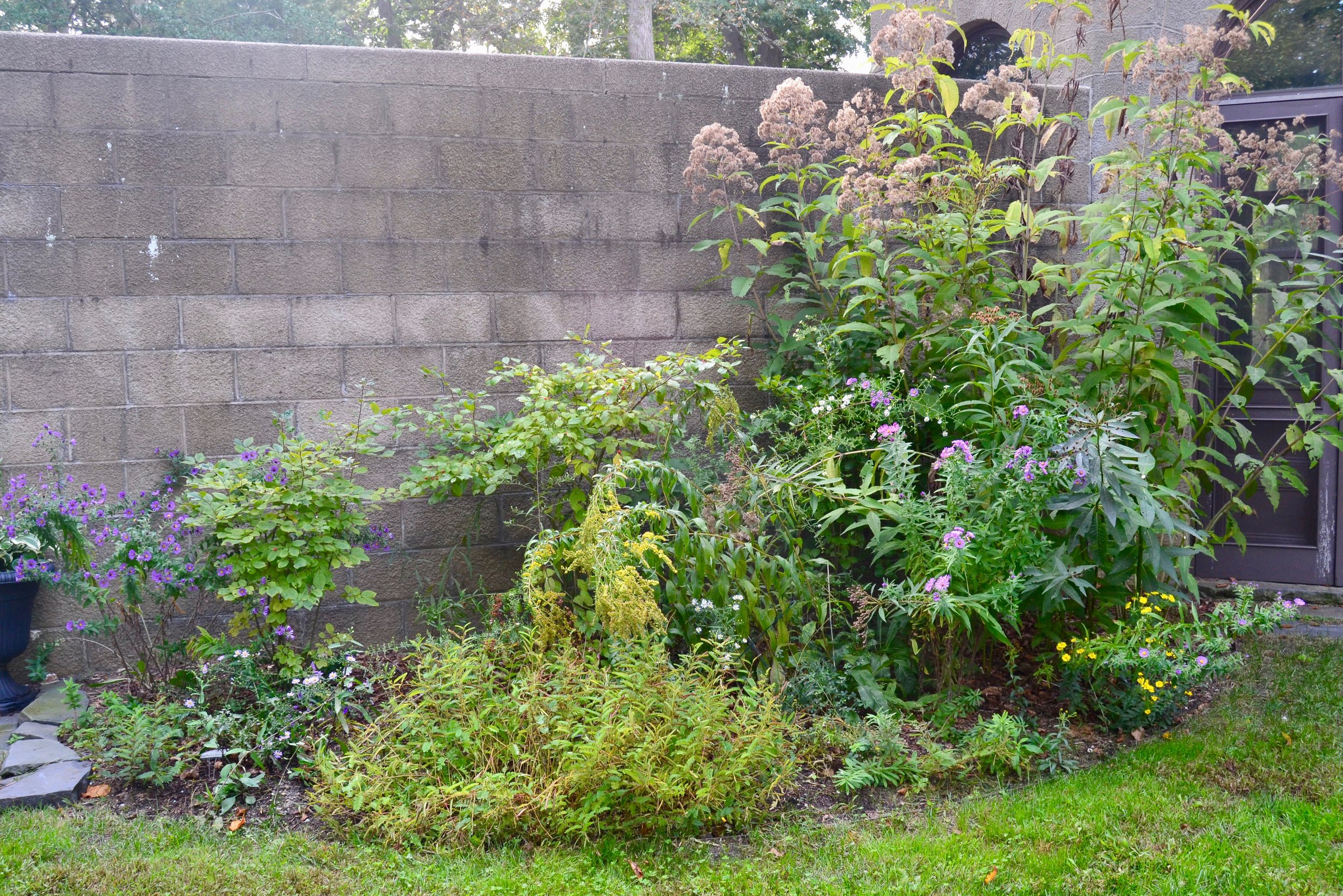 Terrace Garden Border