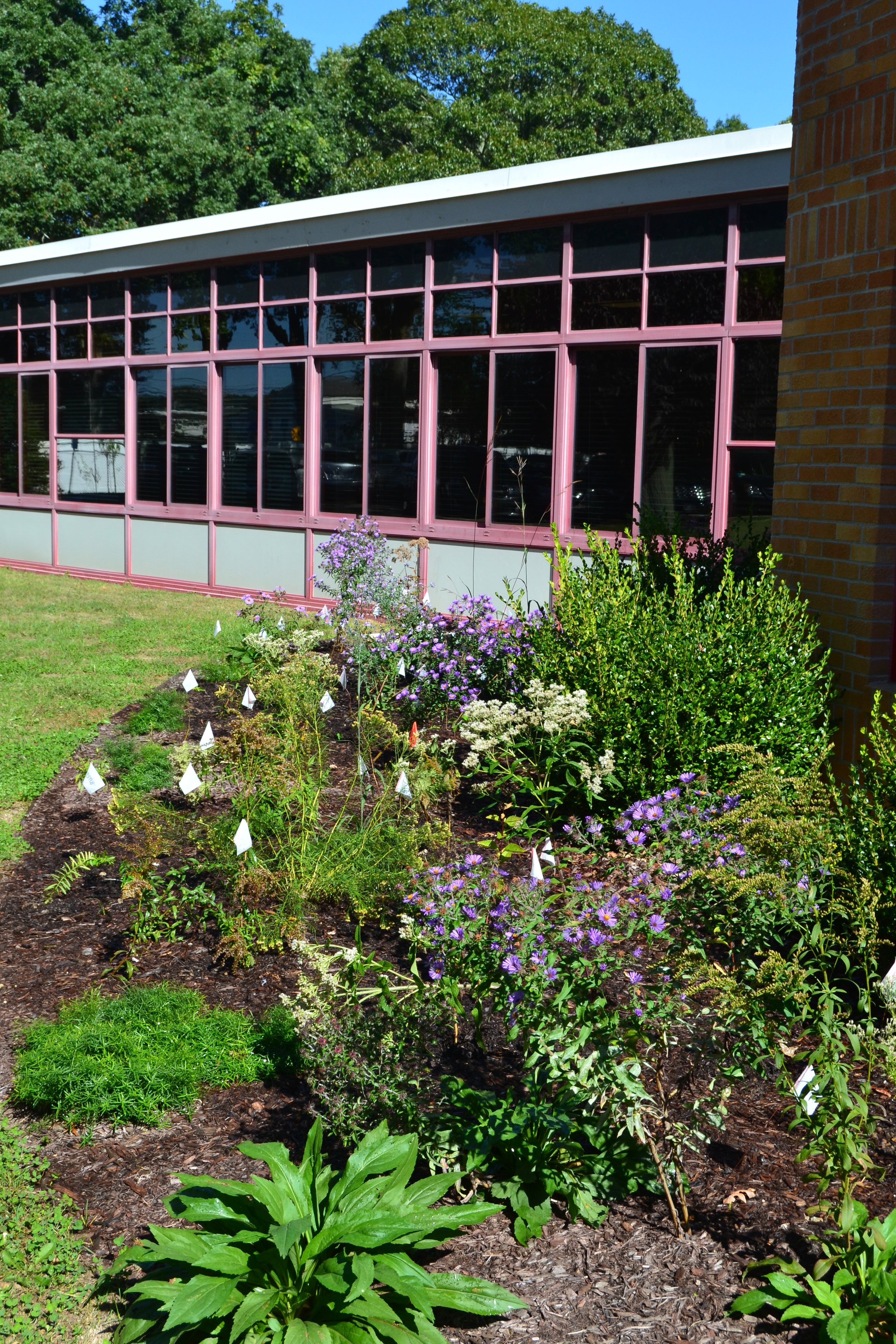 Cherry Avenue School, Sayville