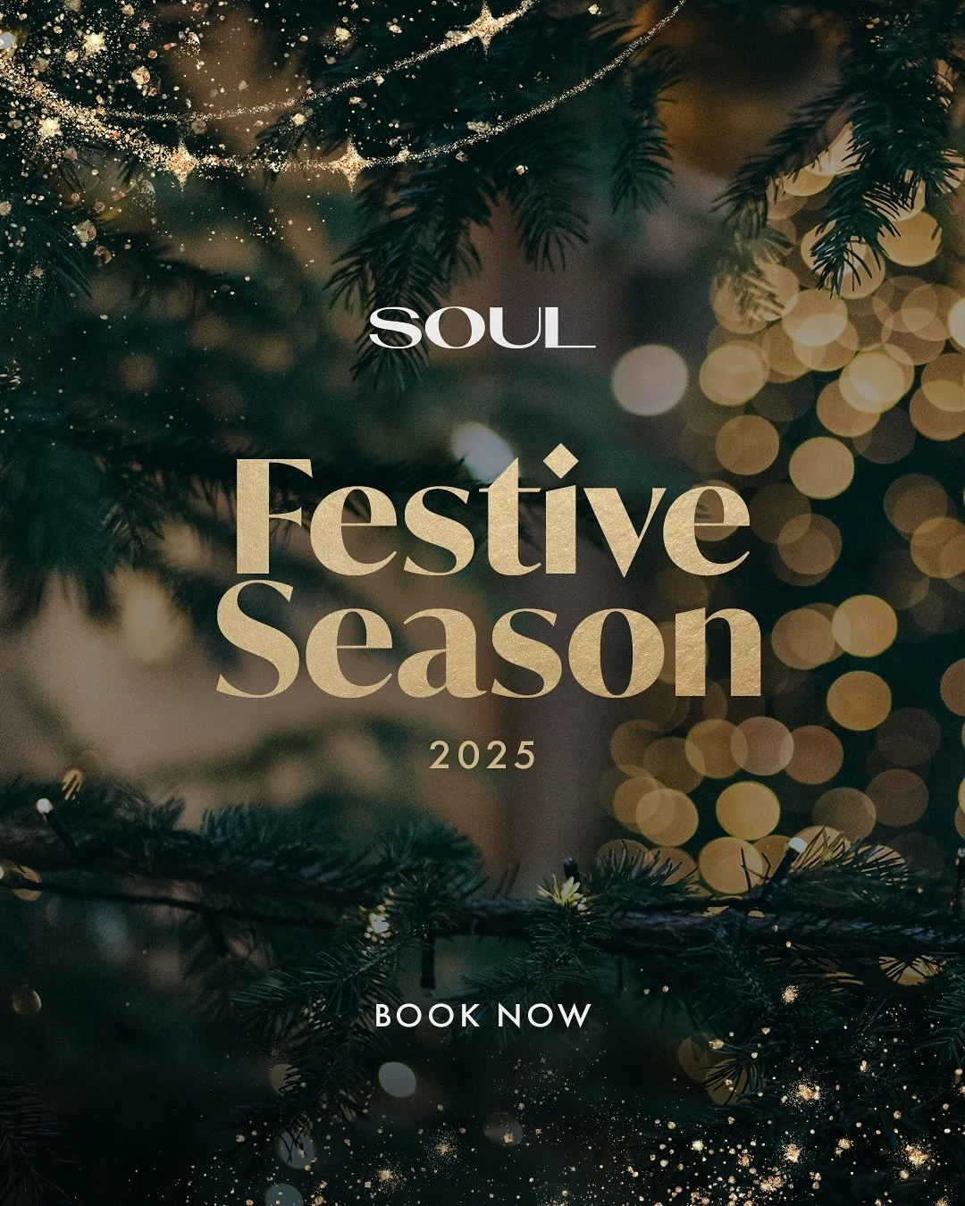 Celebrate the season in style at Soul. ✨
 Our back bar is made for Christmas. Private hire, your own bar, festive buffets or drinks-only gatherings for up to 200 guests.

📧 Email soul@pbdevco.com to secure your date.
 💬 Comment &ldquo;FESTIVE&rdquo