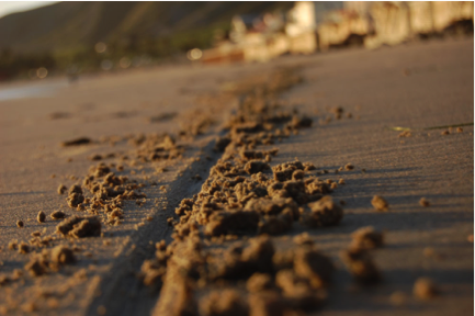 lineinsand.png
