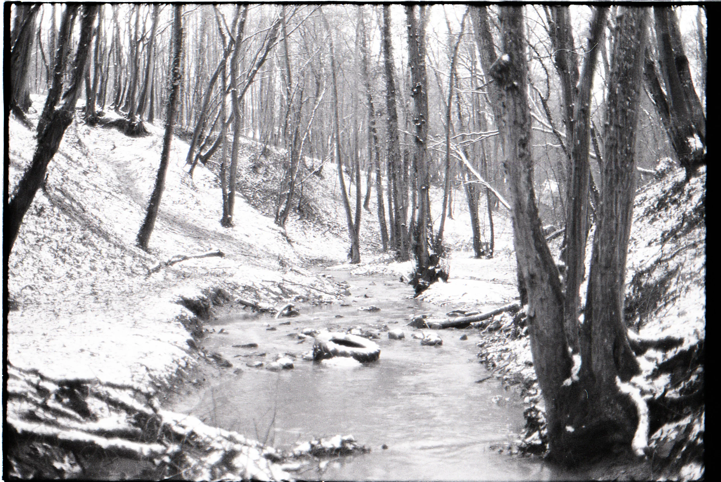 Cession004-2.jpg
