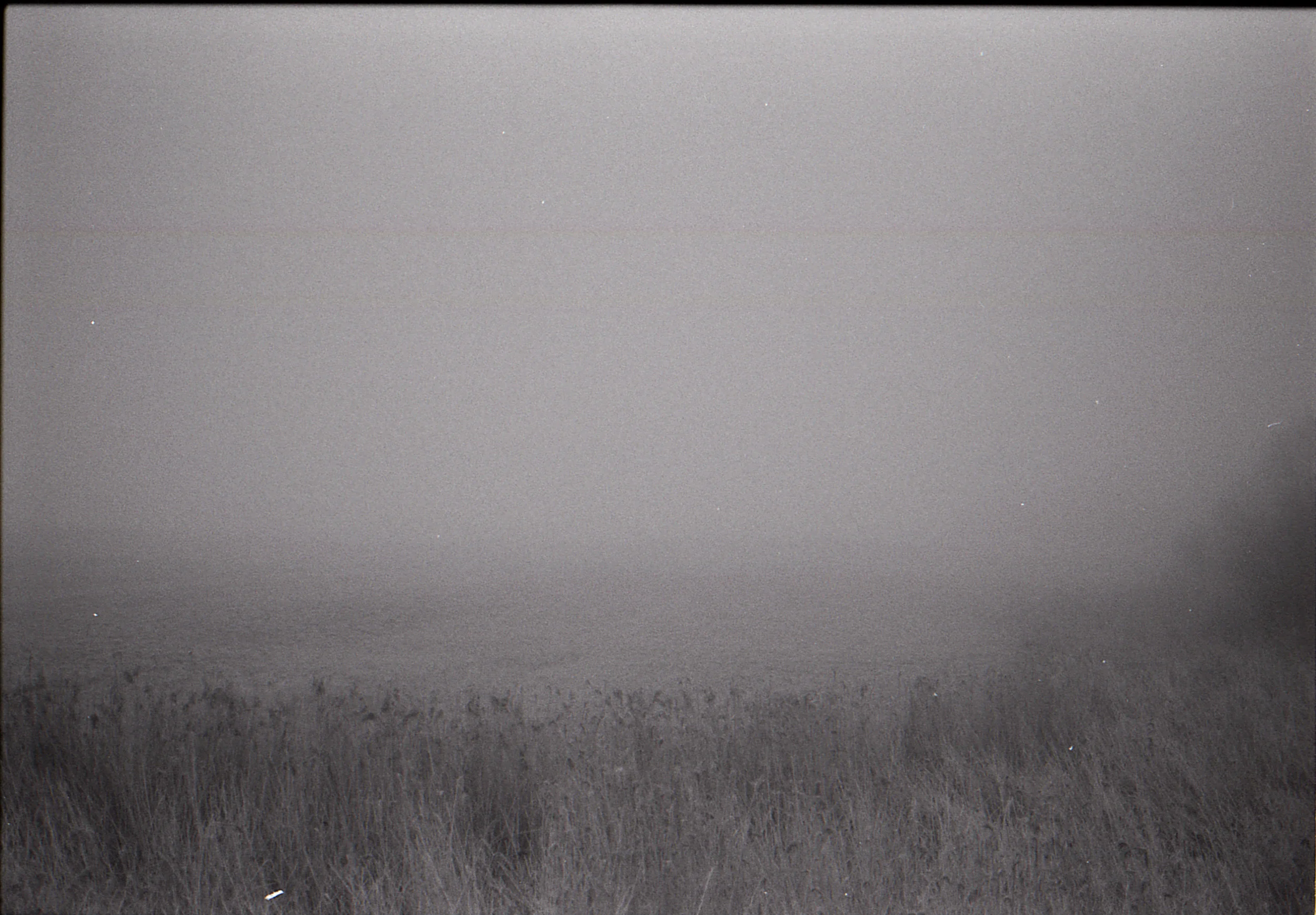 tri x003-2.jpg