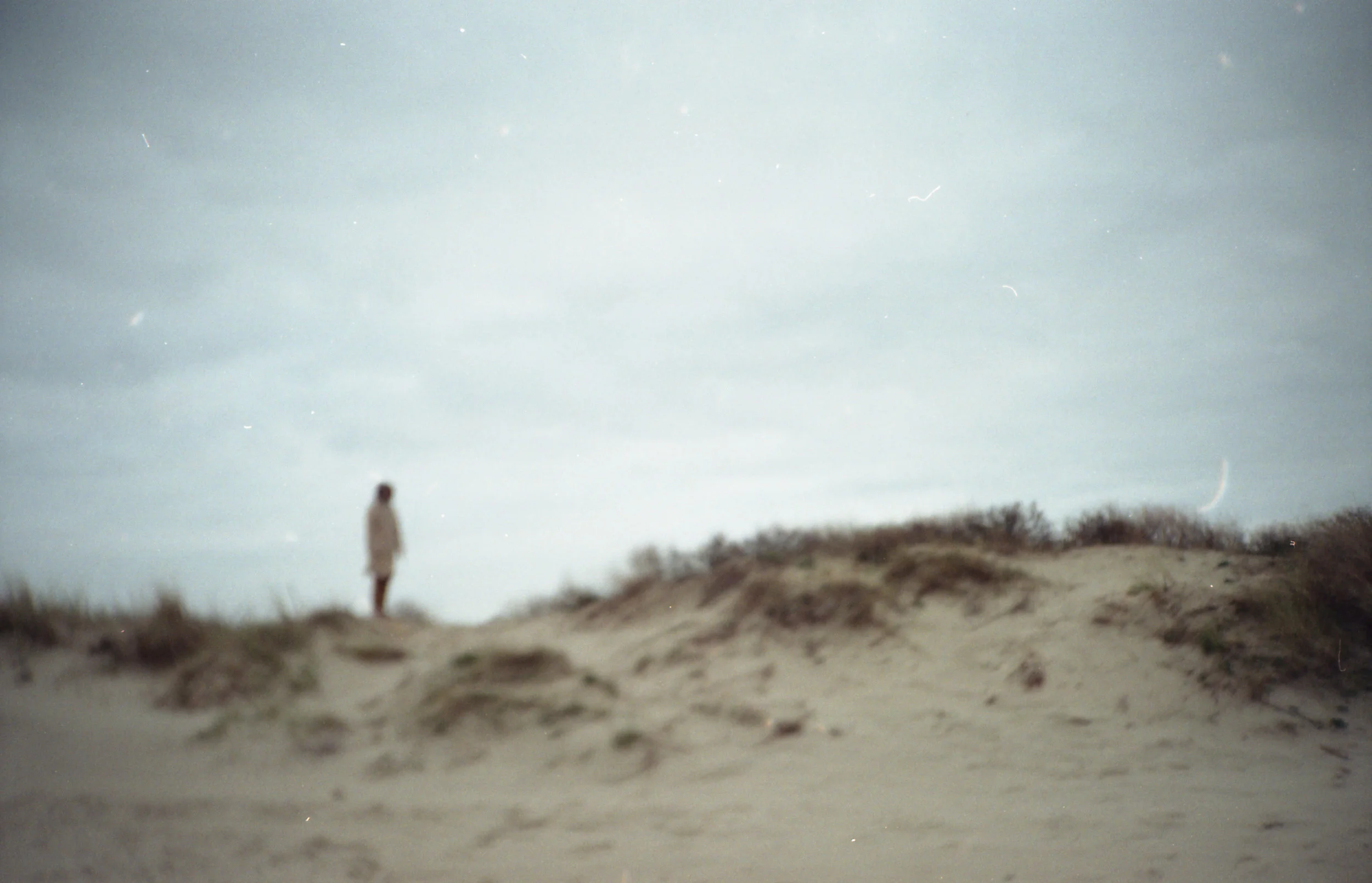 img014.jpg