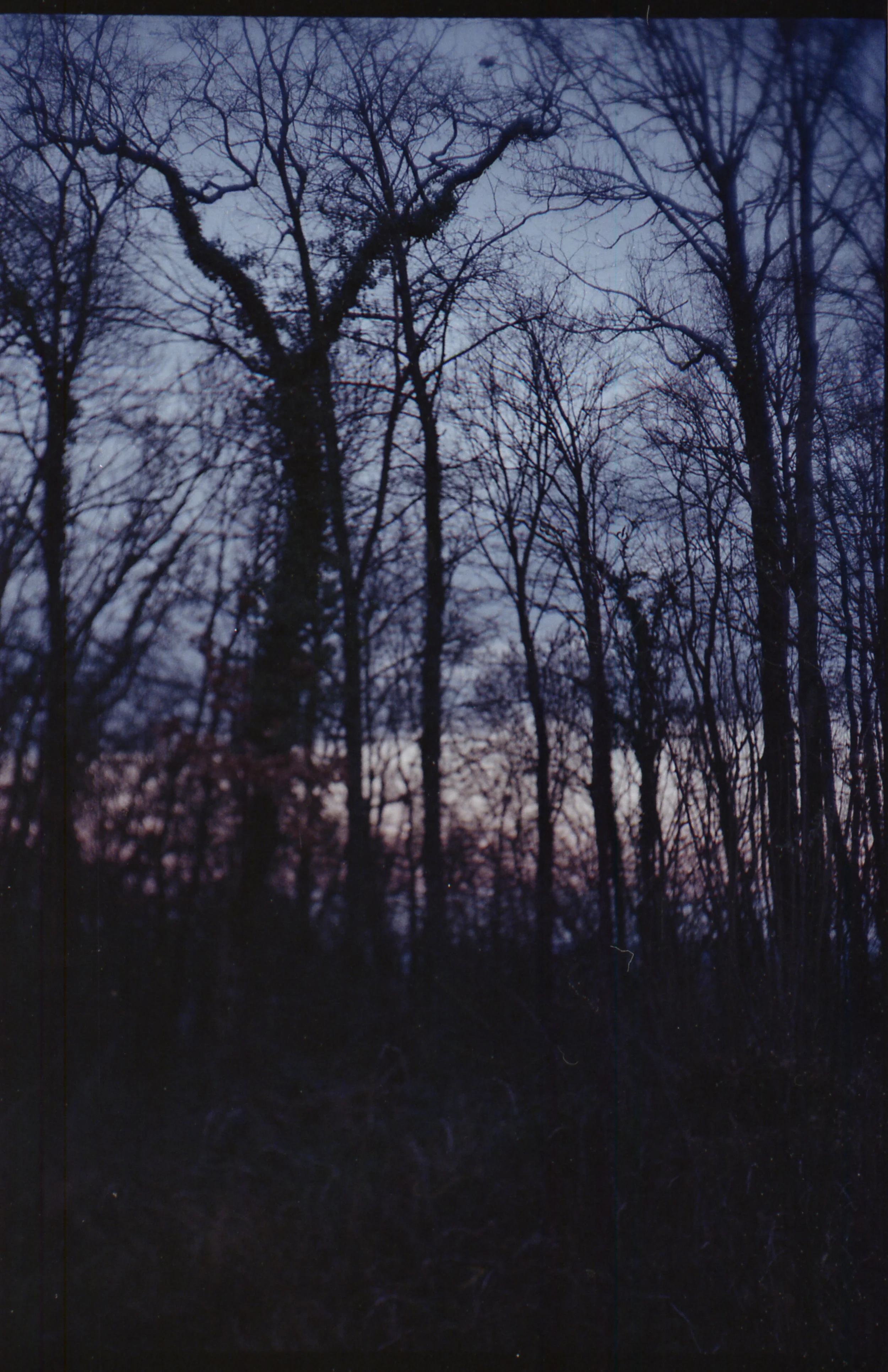 img126-5.jpg