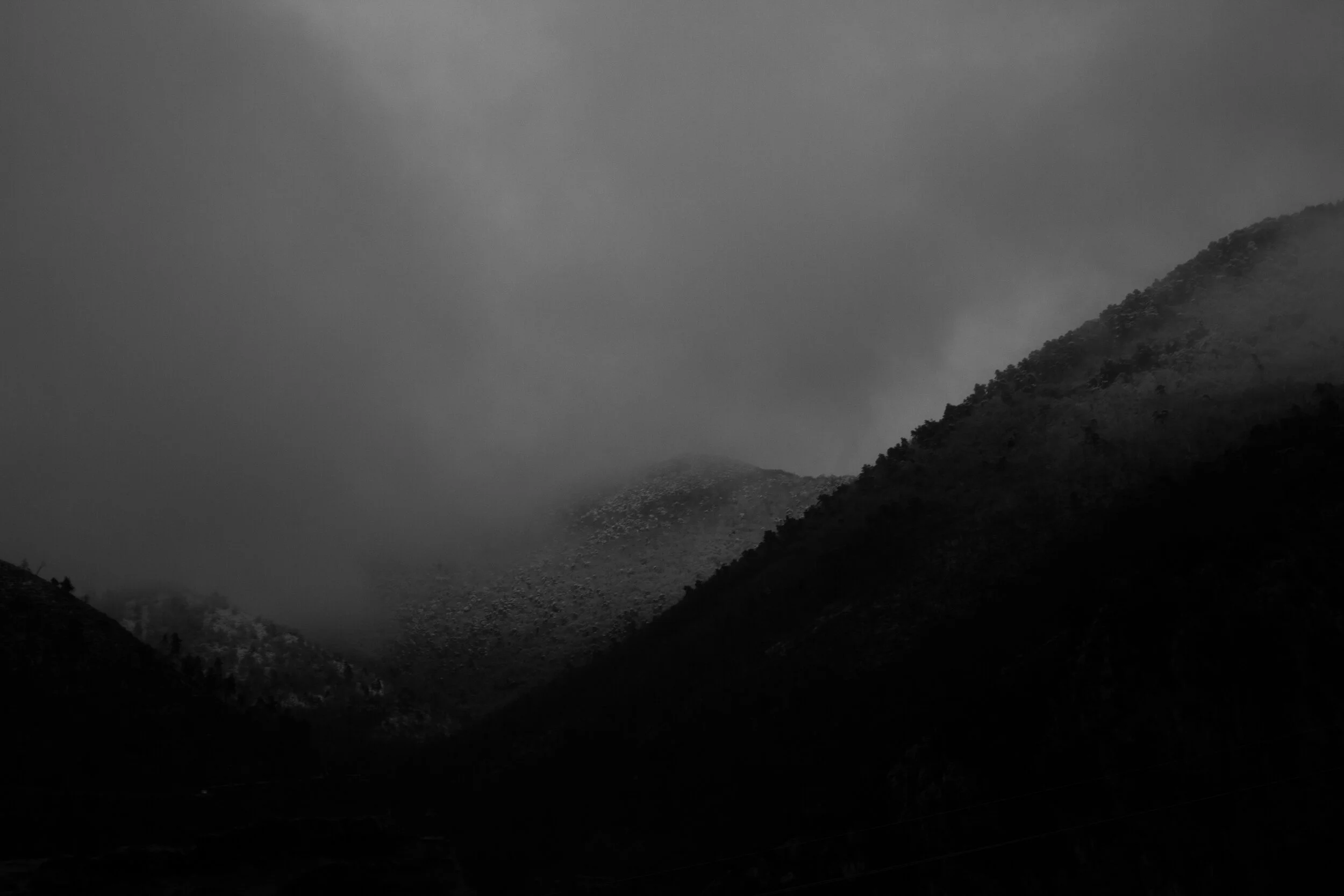 IMG_7417.jpg