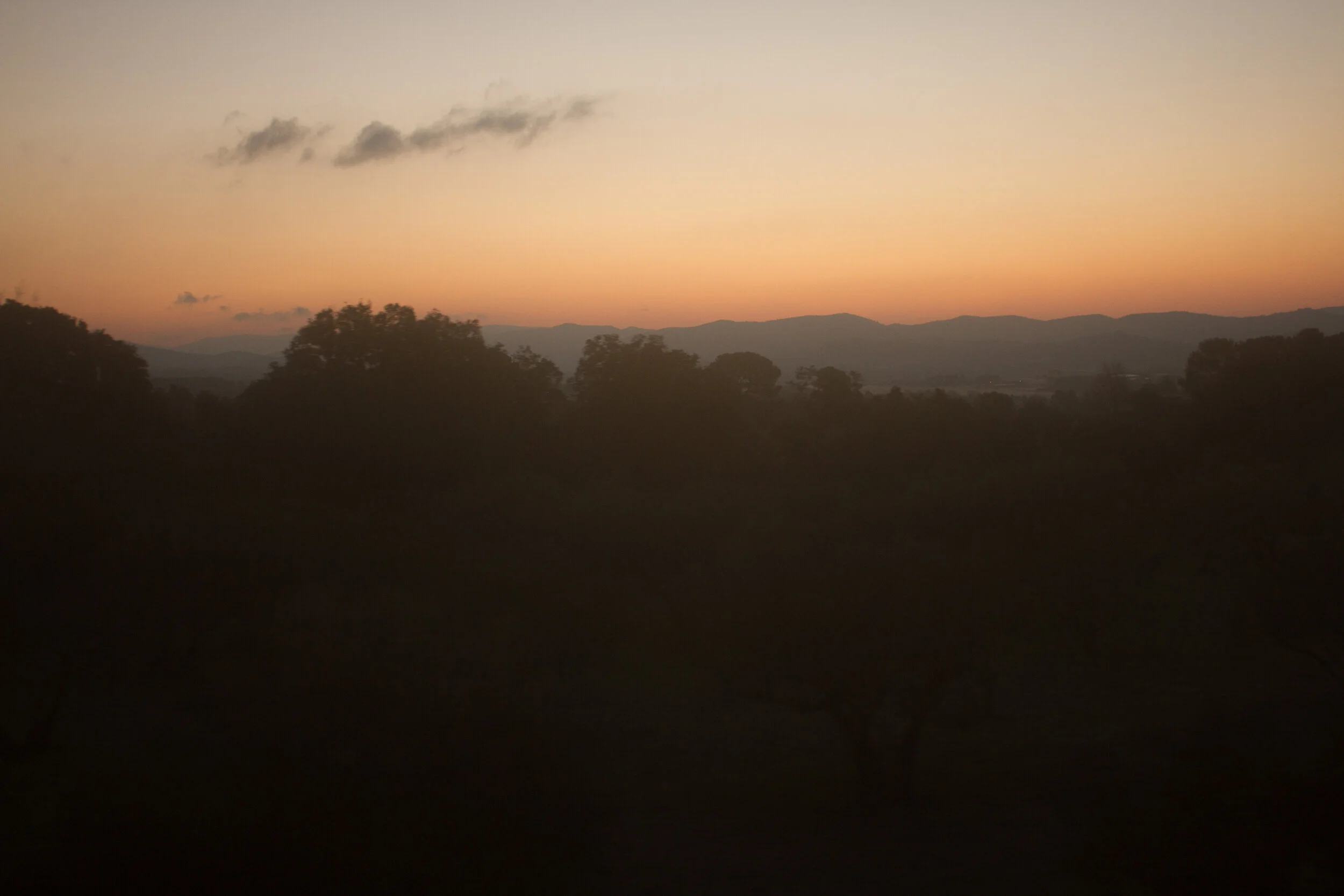 IMG_7444.jpg