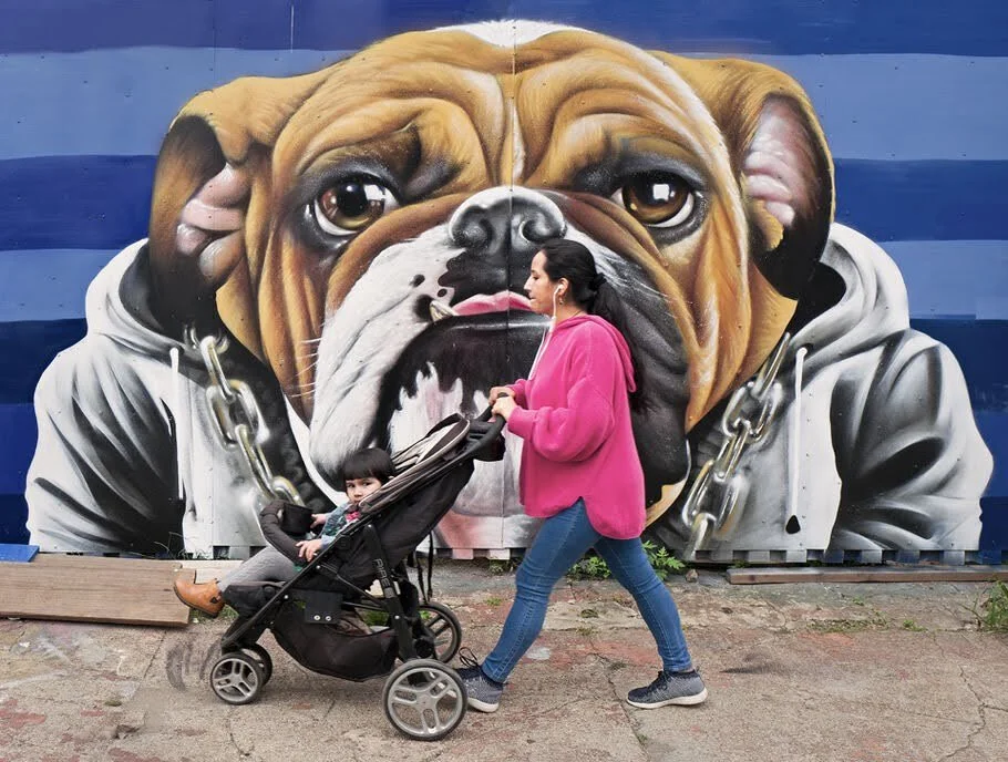 Impact of the Arts on the Gentrified Population 