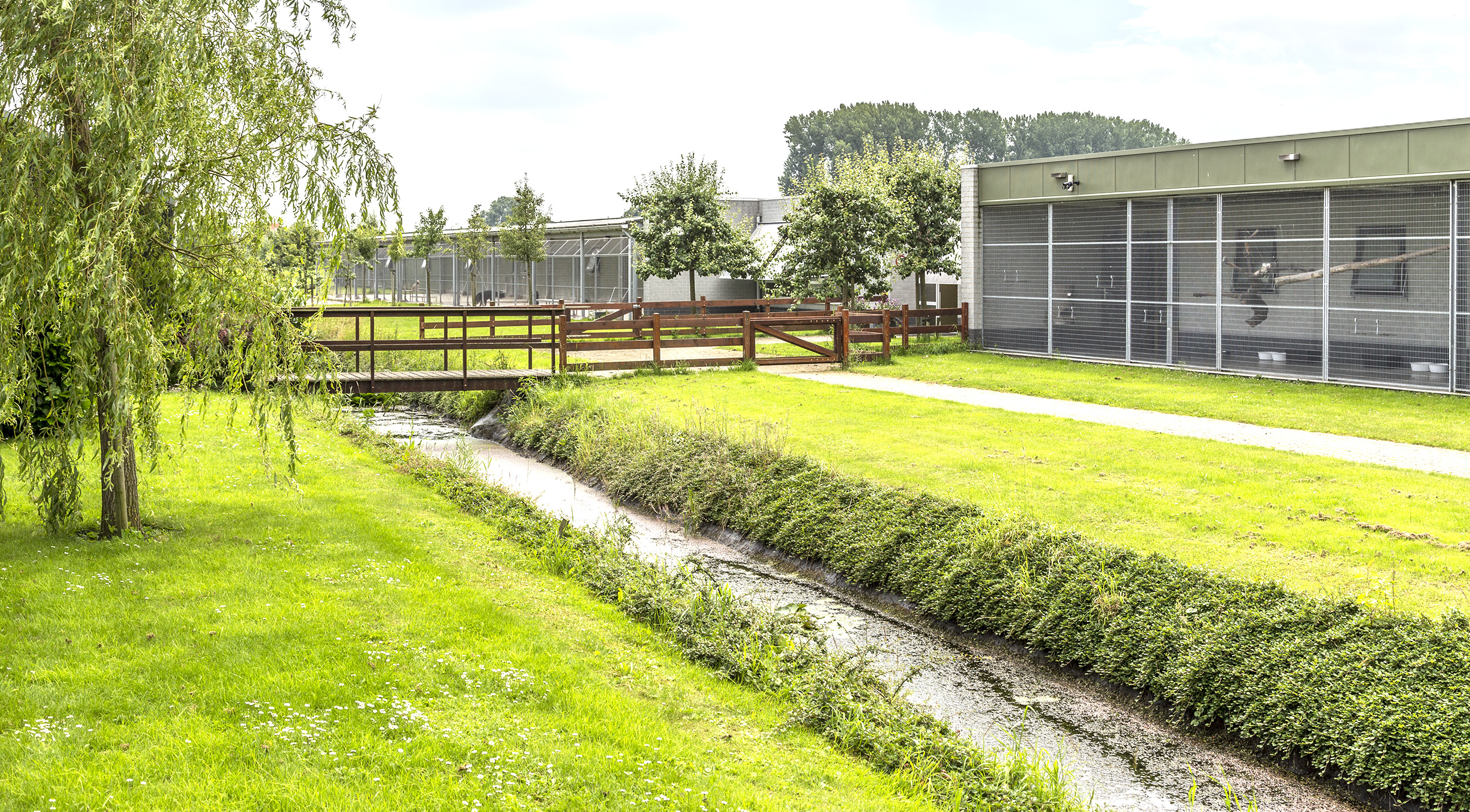 Dierenpension Morgenstond