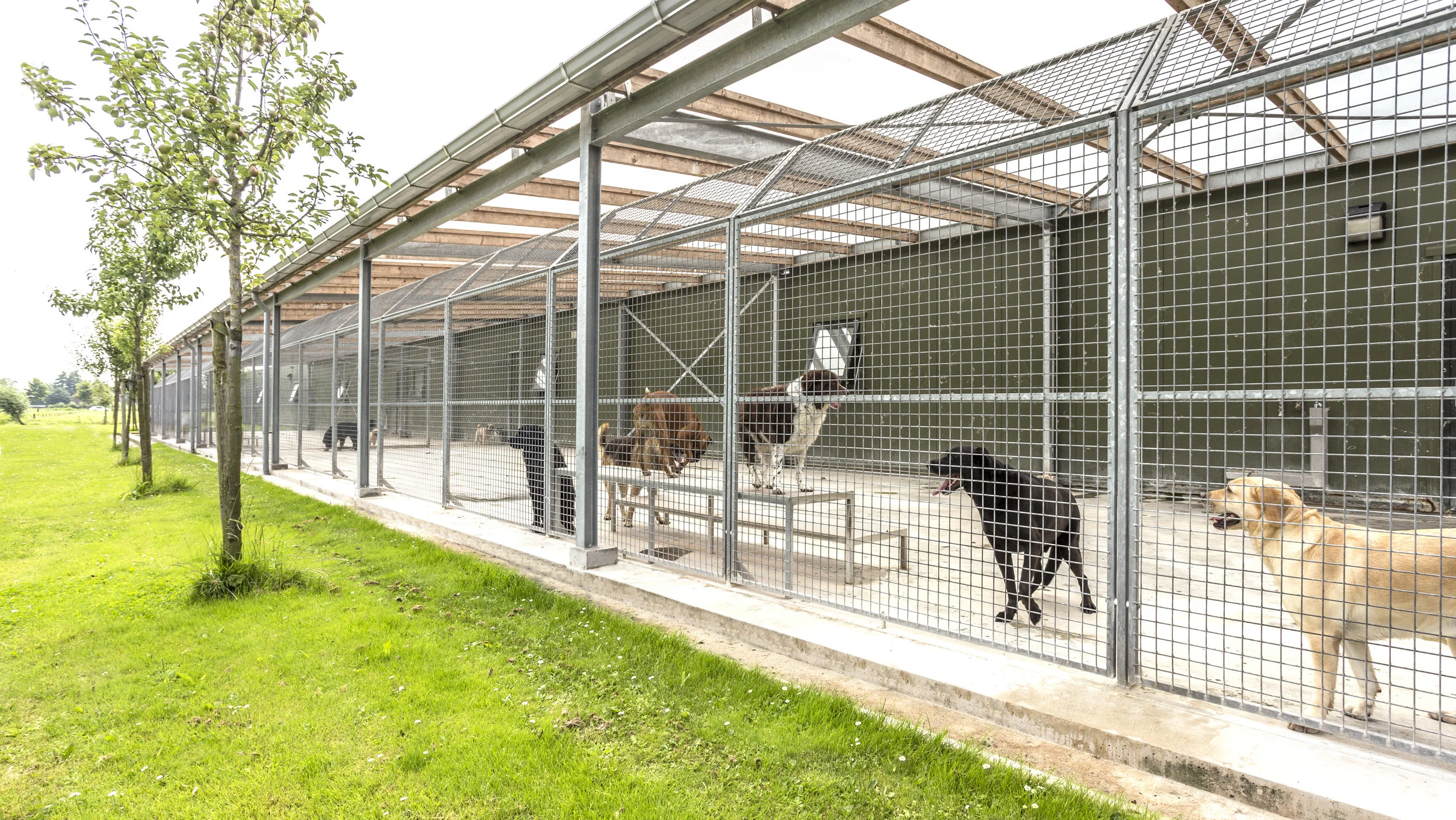 Dierenpension Morgenstond