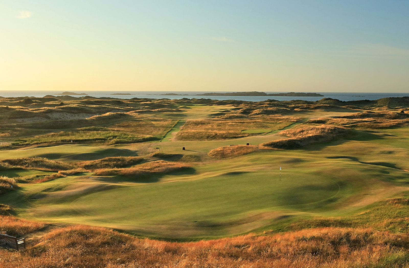 ROYAL PORTRUSH