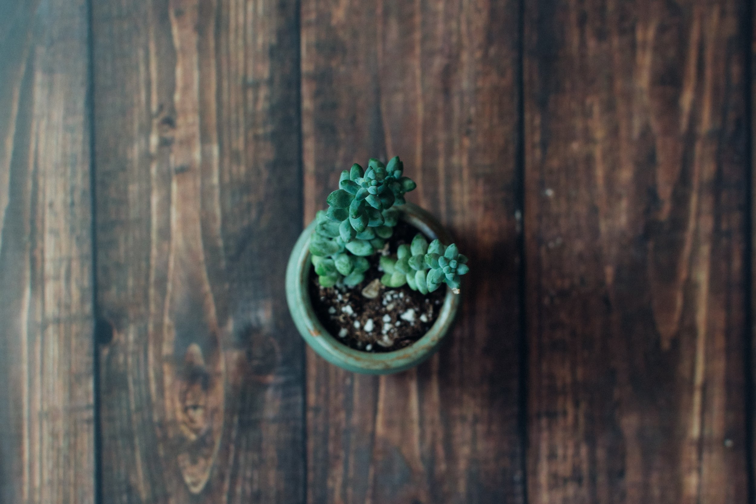 kelly-sikkema-551890-unsplash.jpg