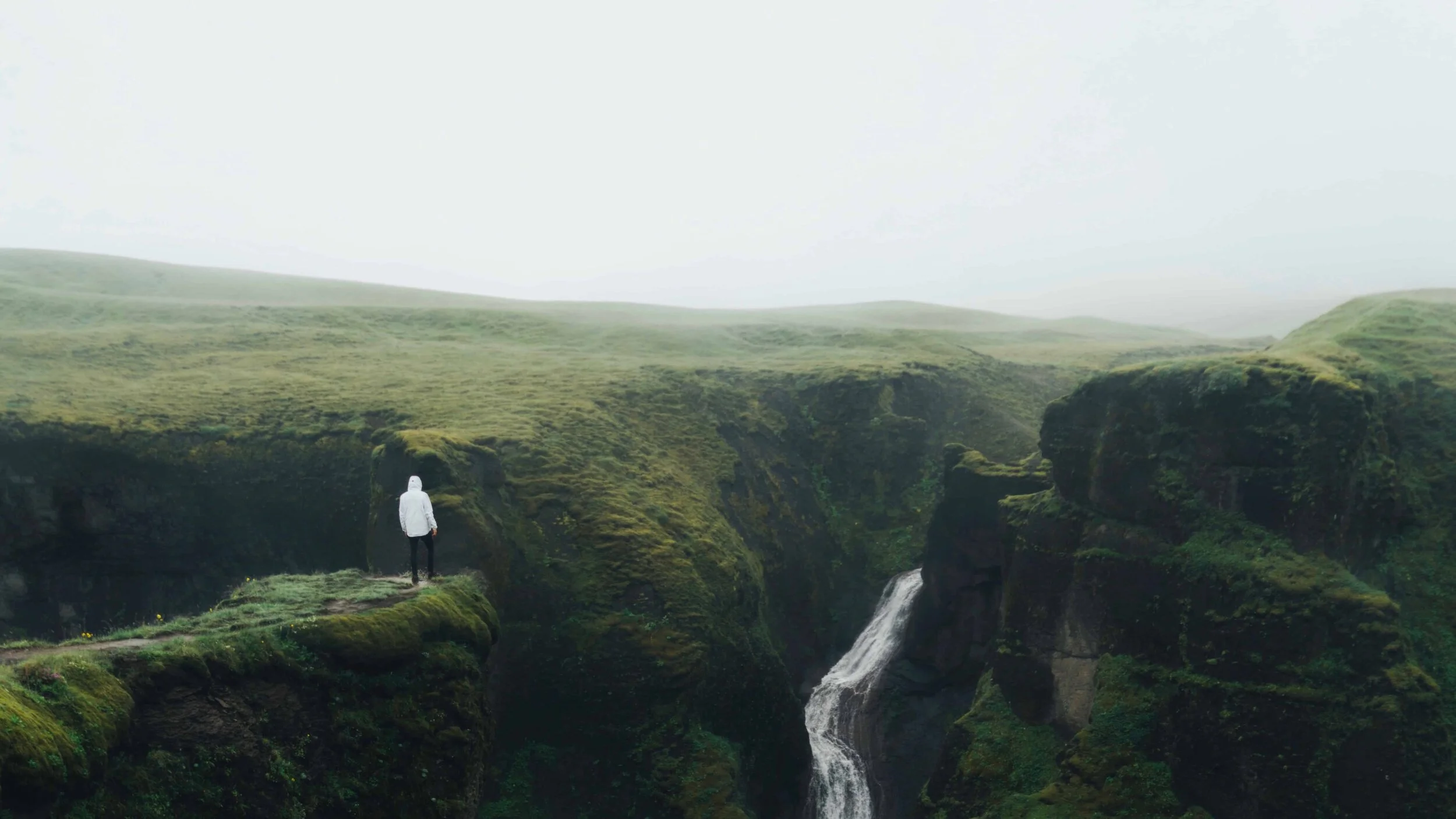 Flourish Coaching Website Forgiveness_WEB.jpg