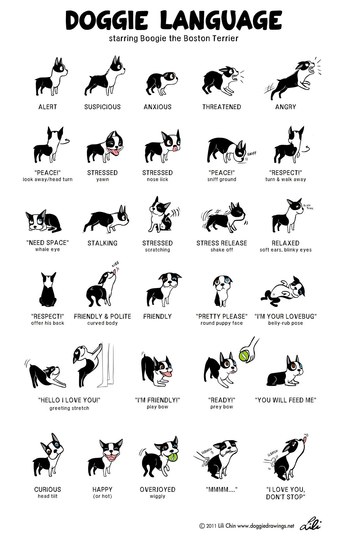 Graphic by Lili Chin Illustrating Doggie Language