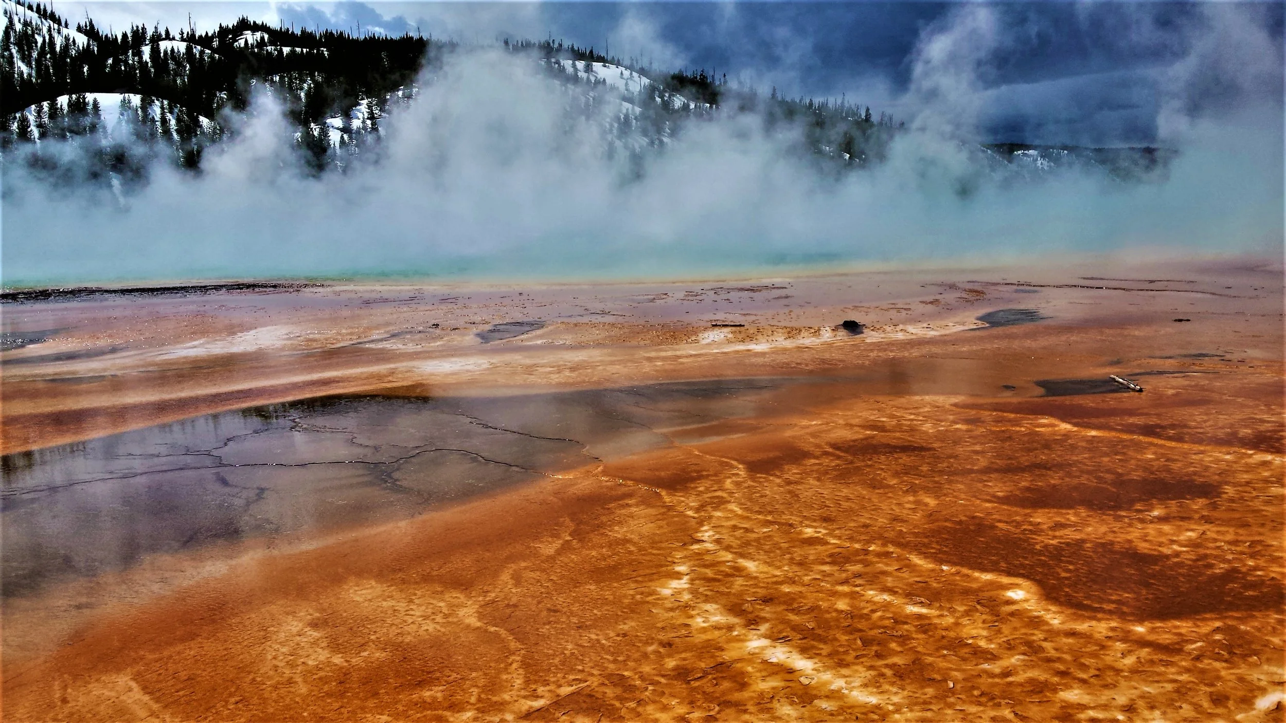 Yellowstone Awakens