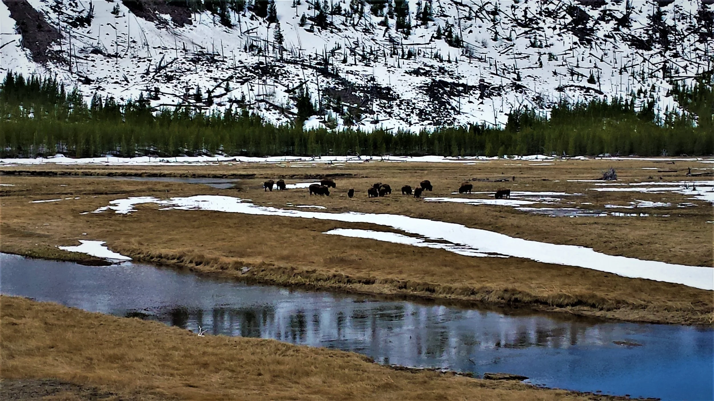 20190420_113940 (2).jpg