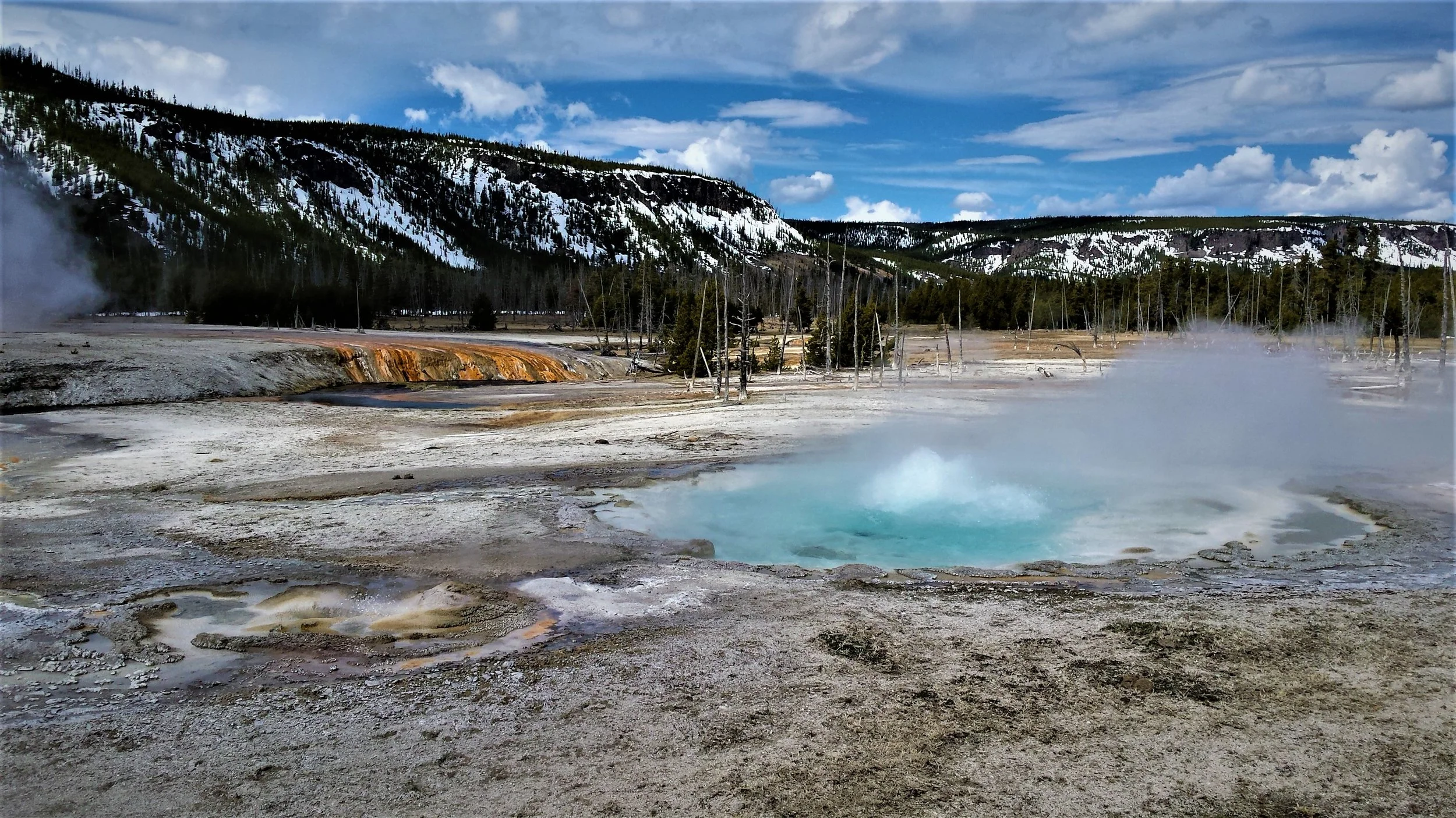 20190420_132830 (2).jpg