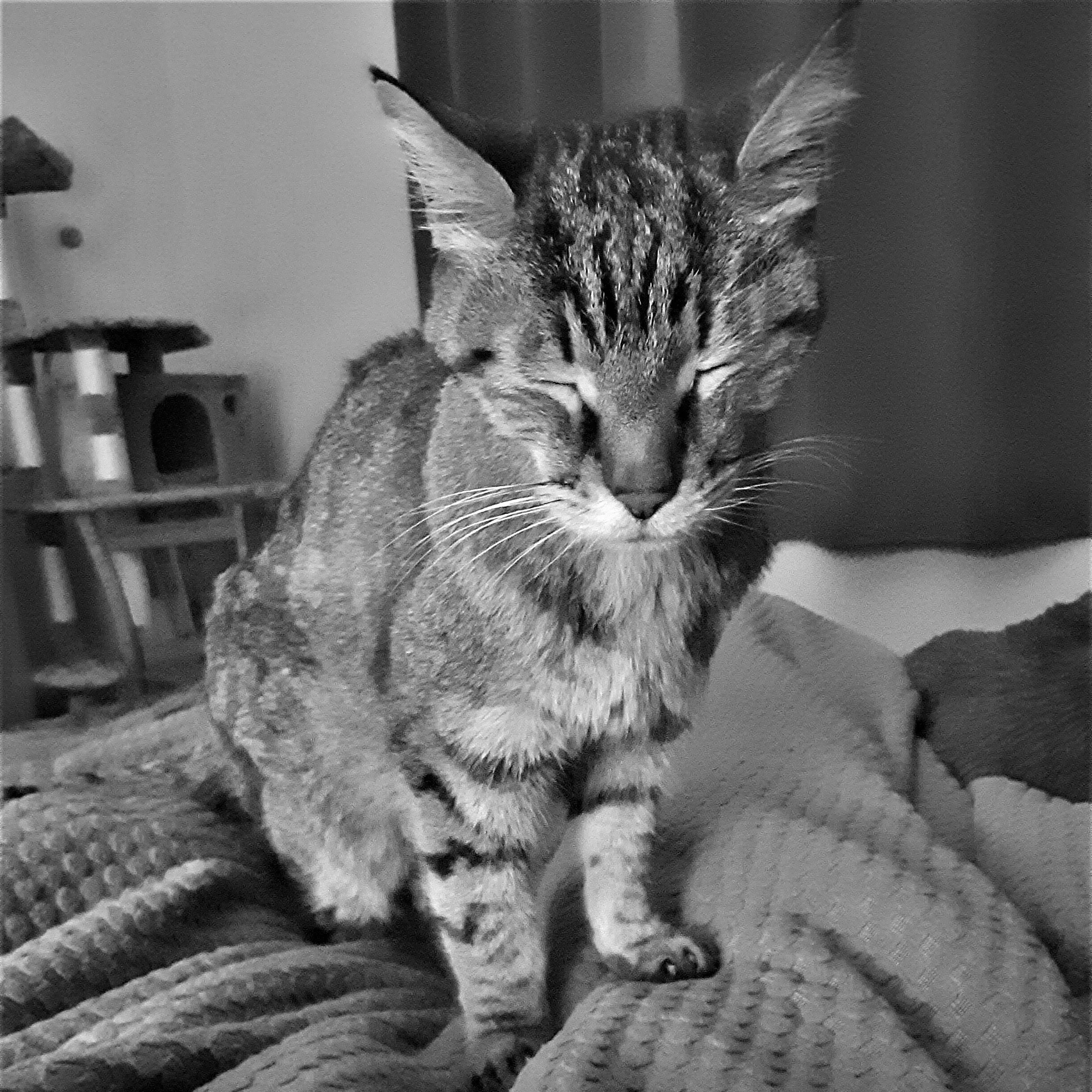 Learning A New Language