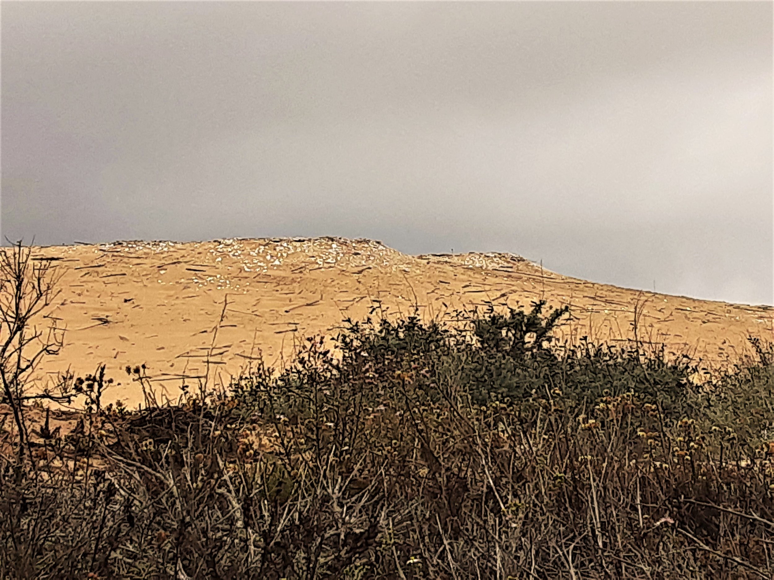 The Lost Egyptian City of California