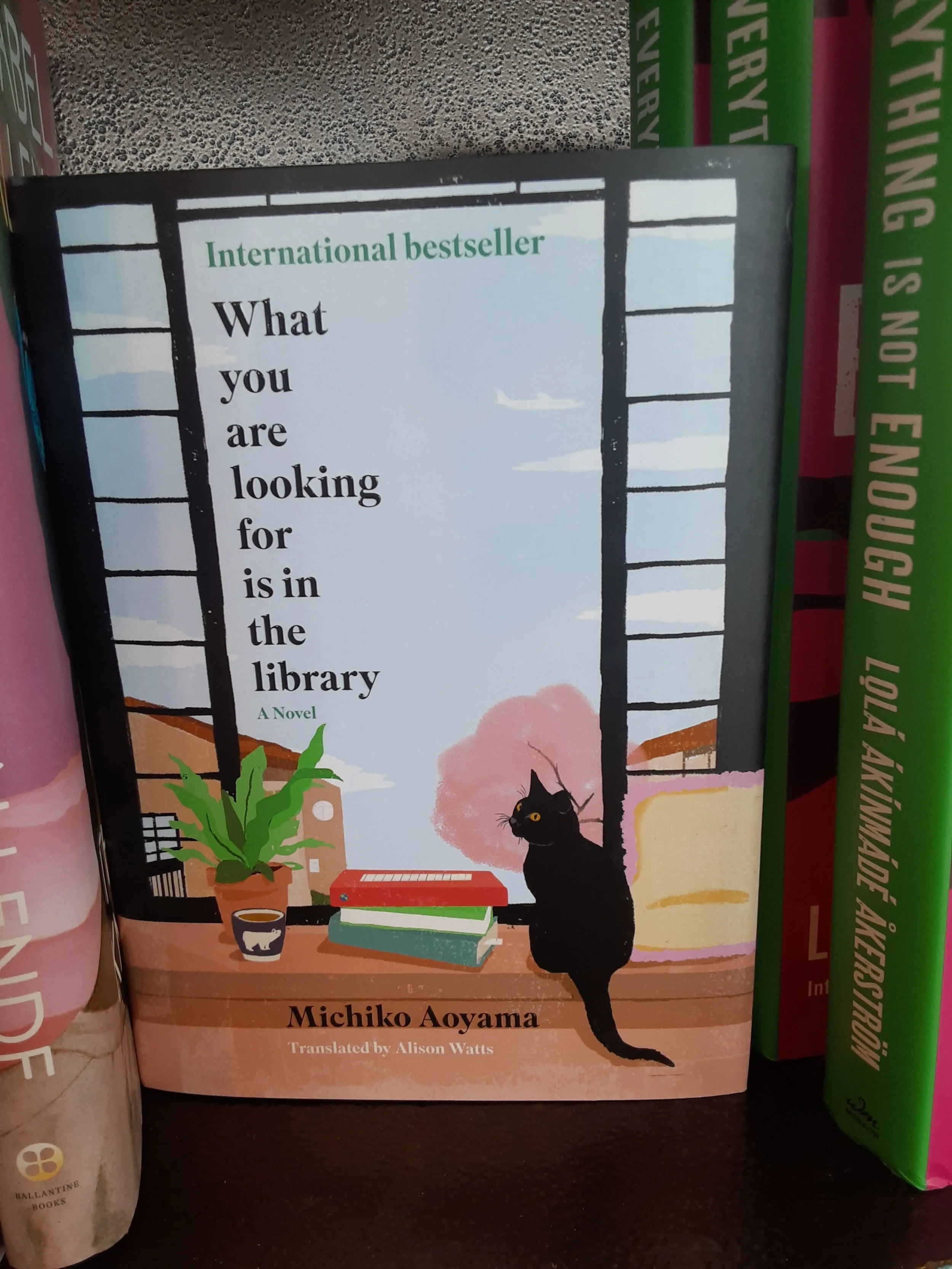 I Believe Everyone Should Read This Book