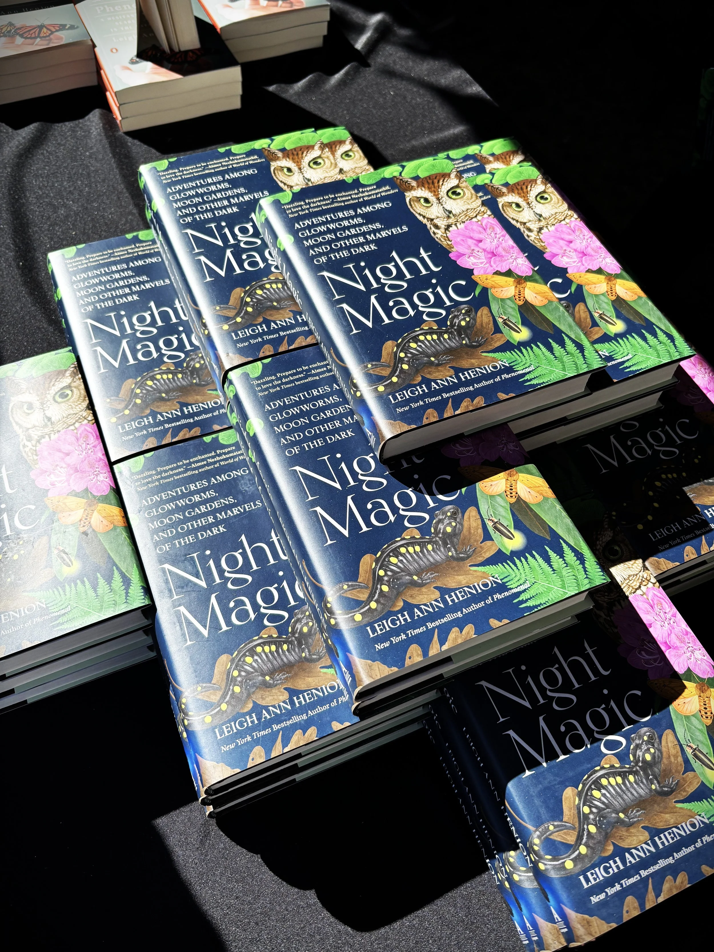 What Darkness Has To Offer