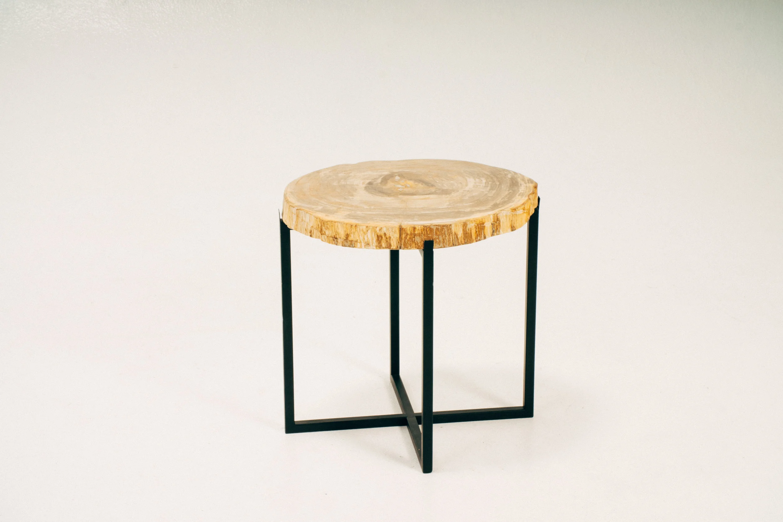 Petrified Wood Side Tables