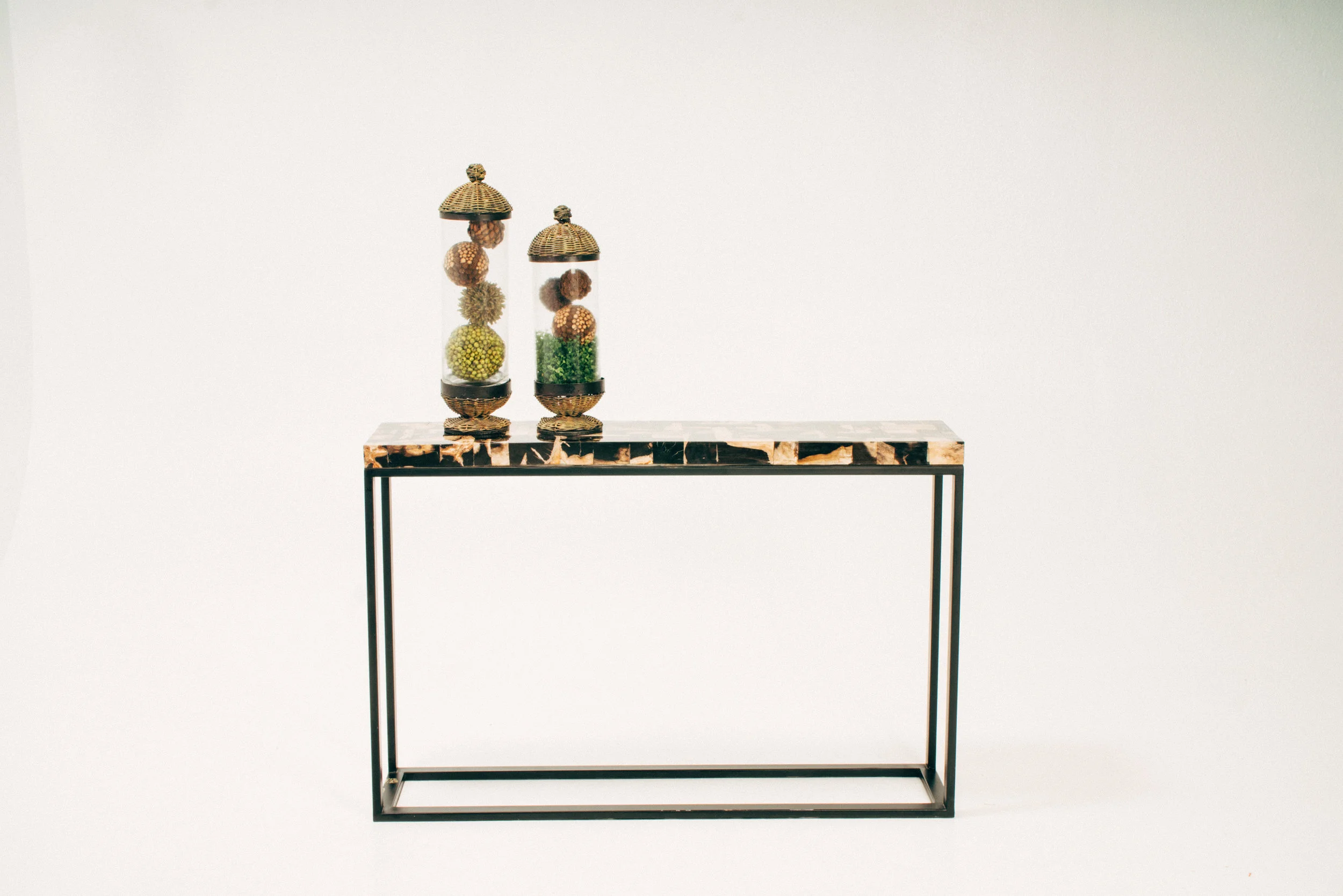 Petrified Wood Console Table