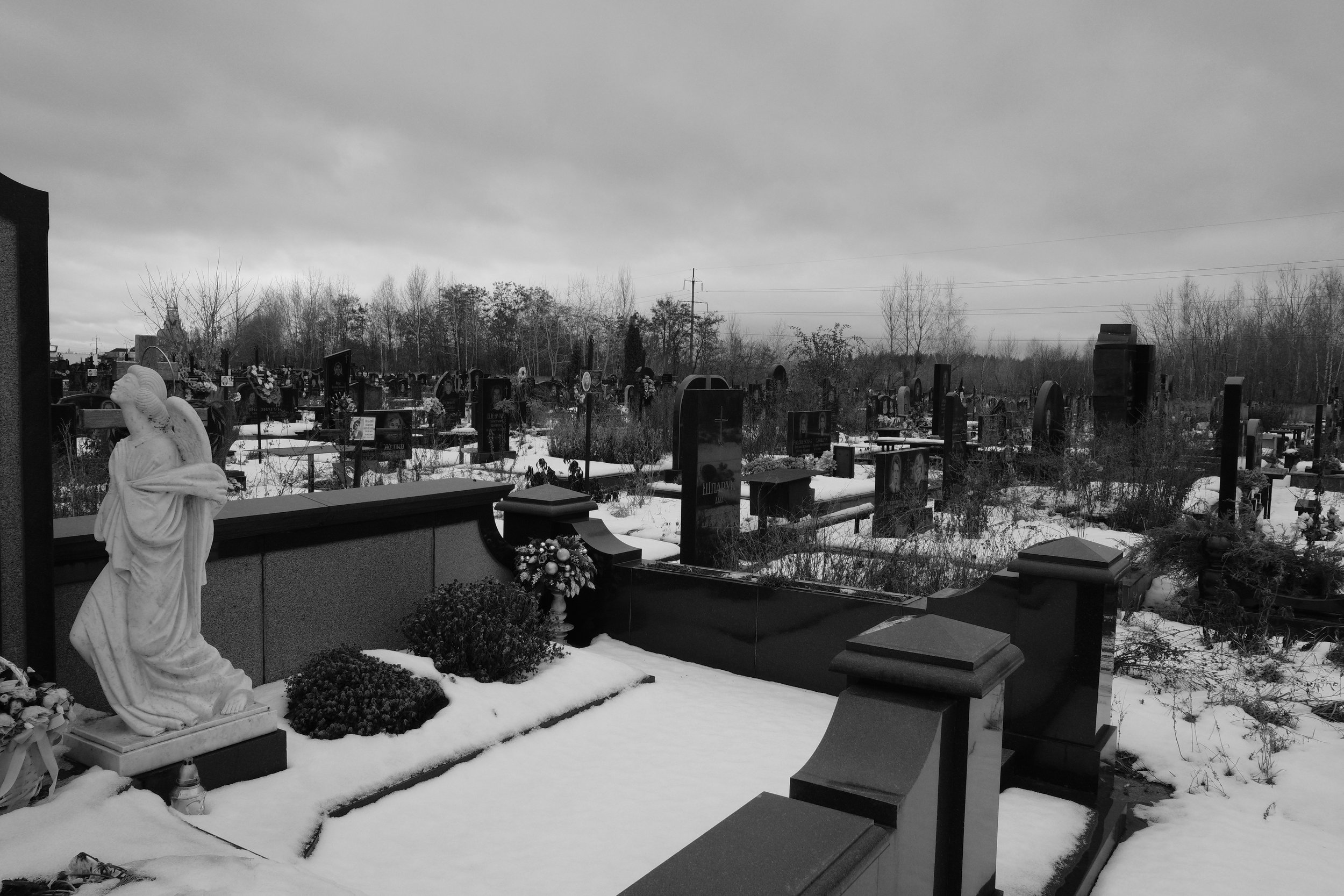 DSCF0420.JPG