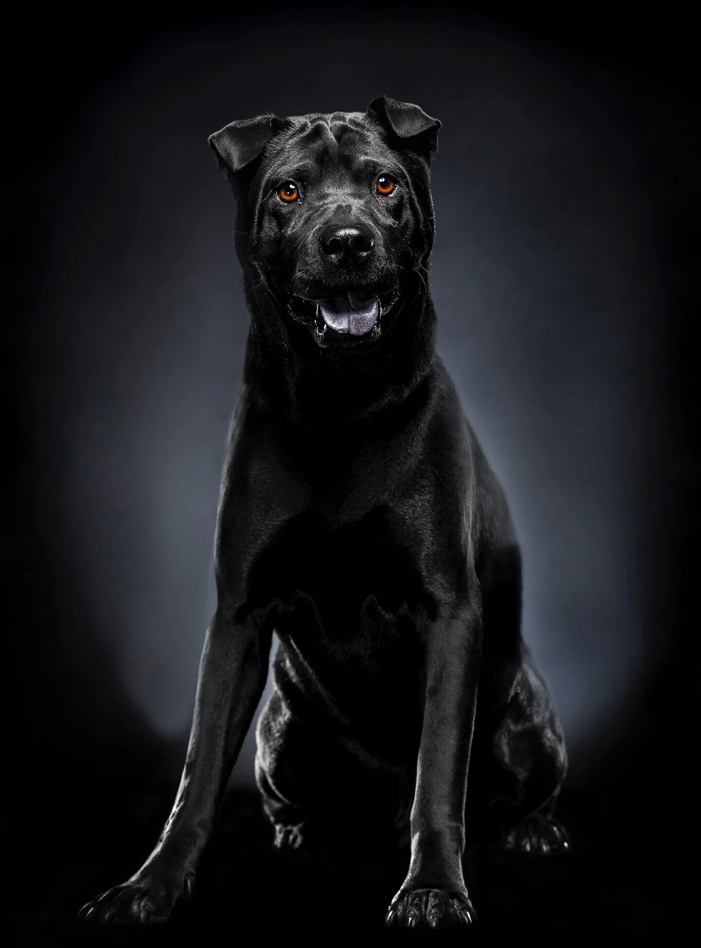 BUSTER1web.jpg