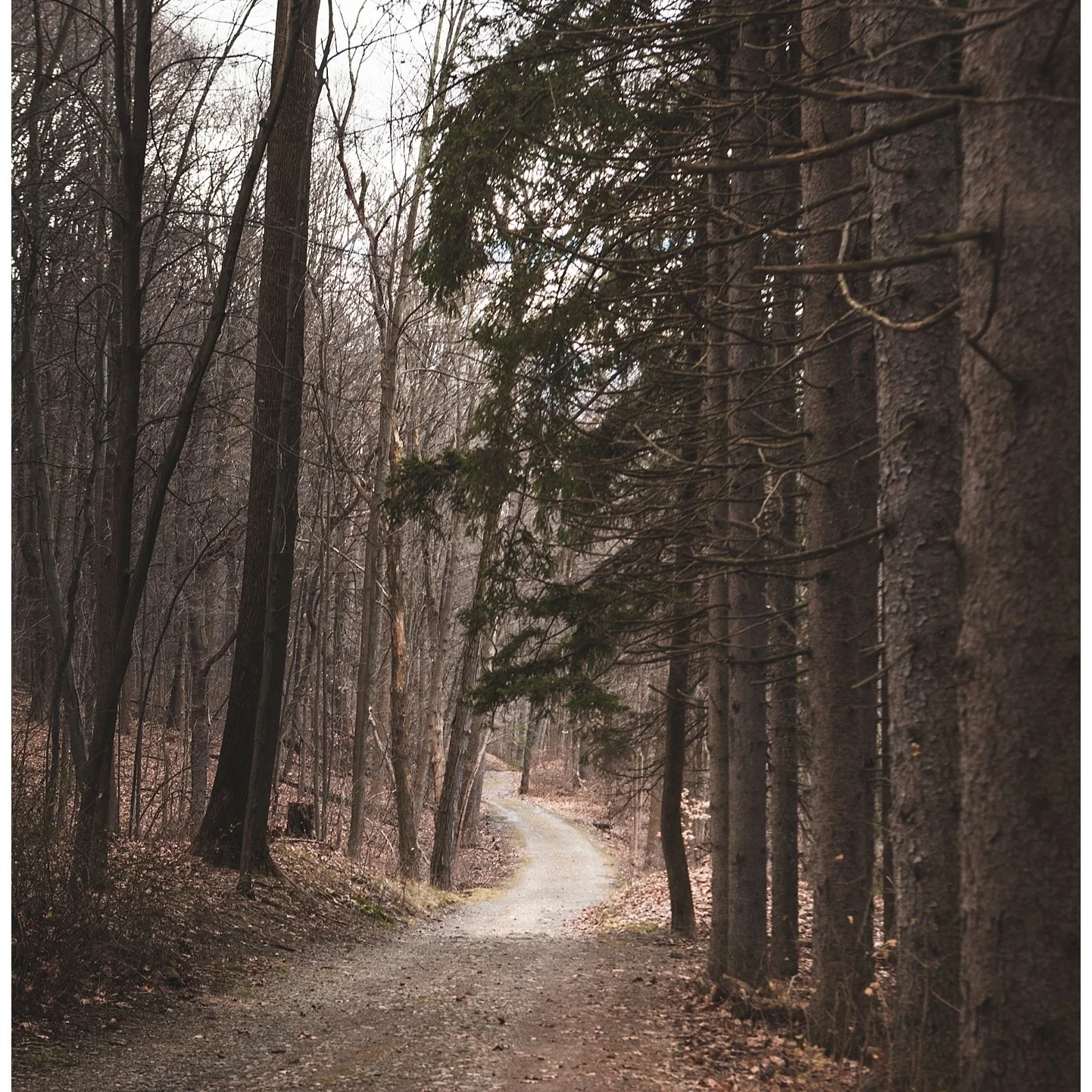 Vanderbilt Estate | Hyde Park, NY