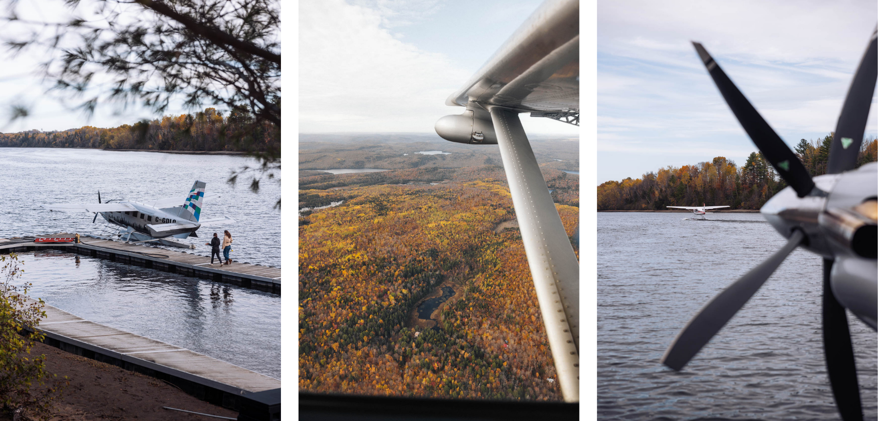 Itinéraire road trip Québec Automne Parc national Mauricie hydravion vol survol forêts feuilles