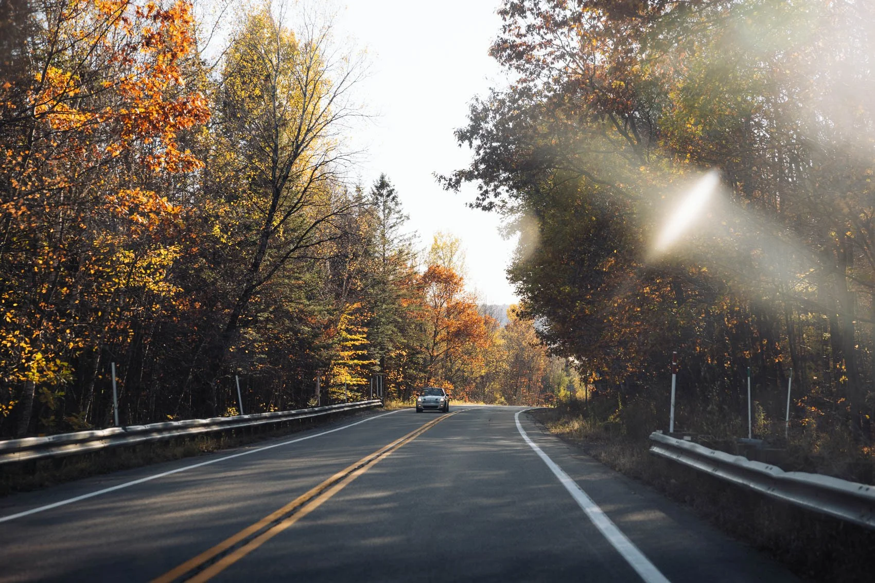 Itinéraire road trip Québec Automne route forêt feuilles