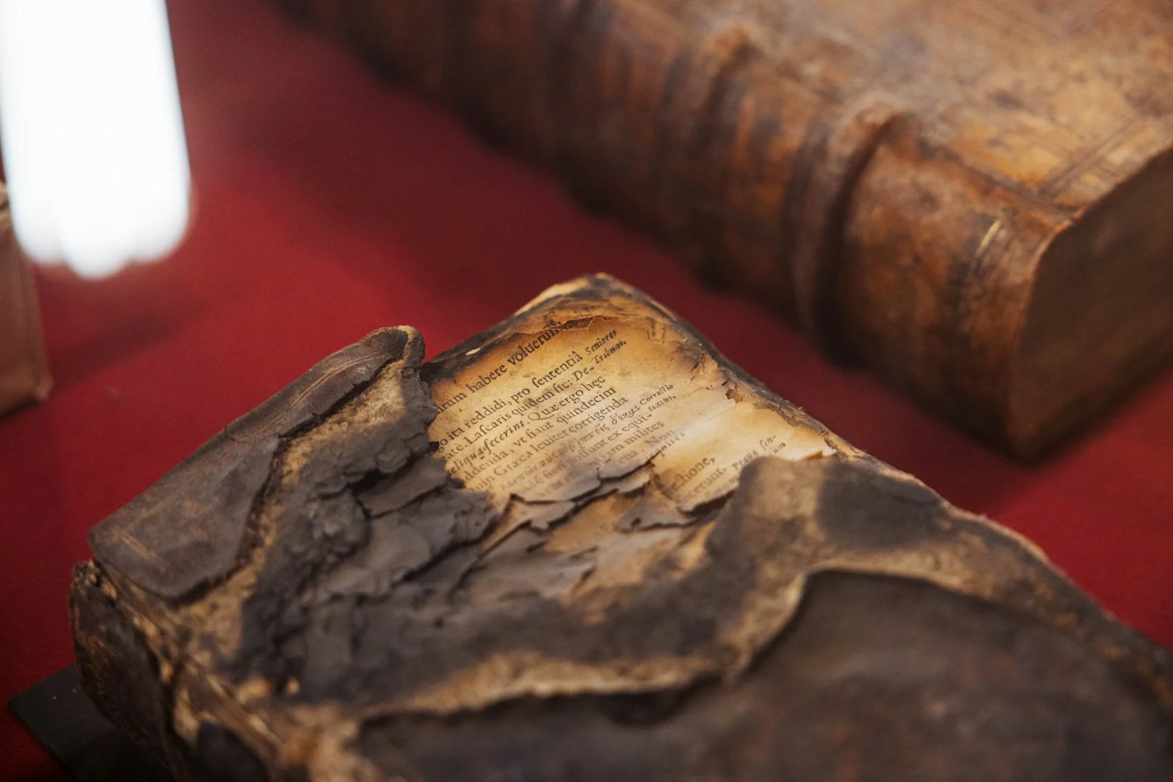 Louvain Leuven Belgique KU université bibliothèque universitaire incendie guerre livre brulé