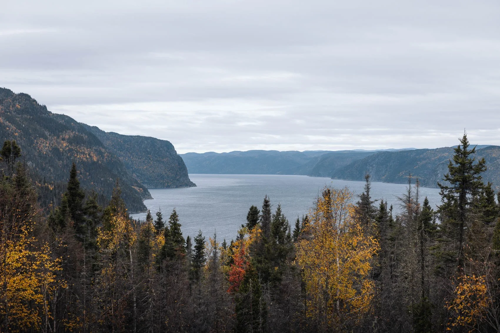 Itinéraire road trip Québec Automne parc national fjord saguenay anse de tabatière vue