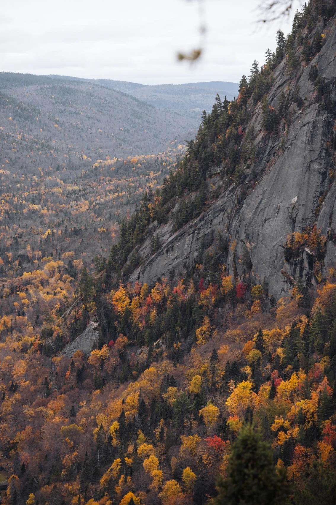 Itinéraire road trip Québec Automne parc national fjord saguenay randonnée notre dame vue feuilles