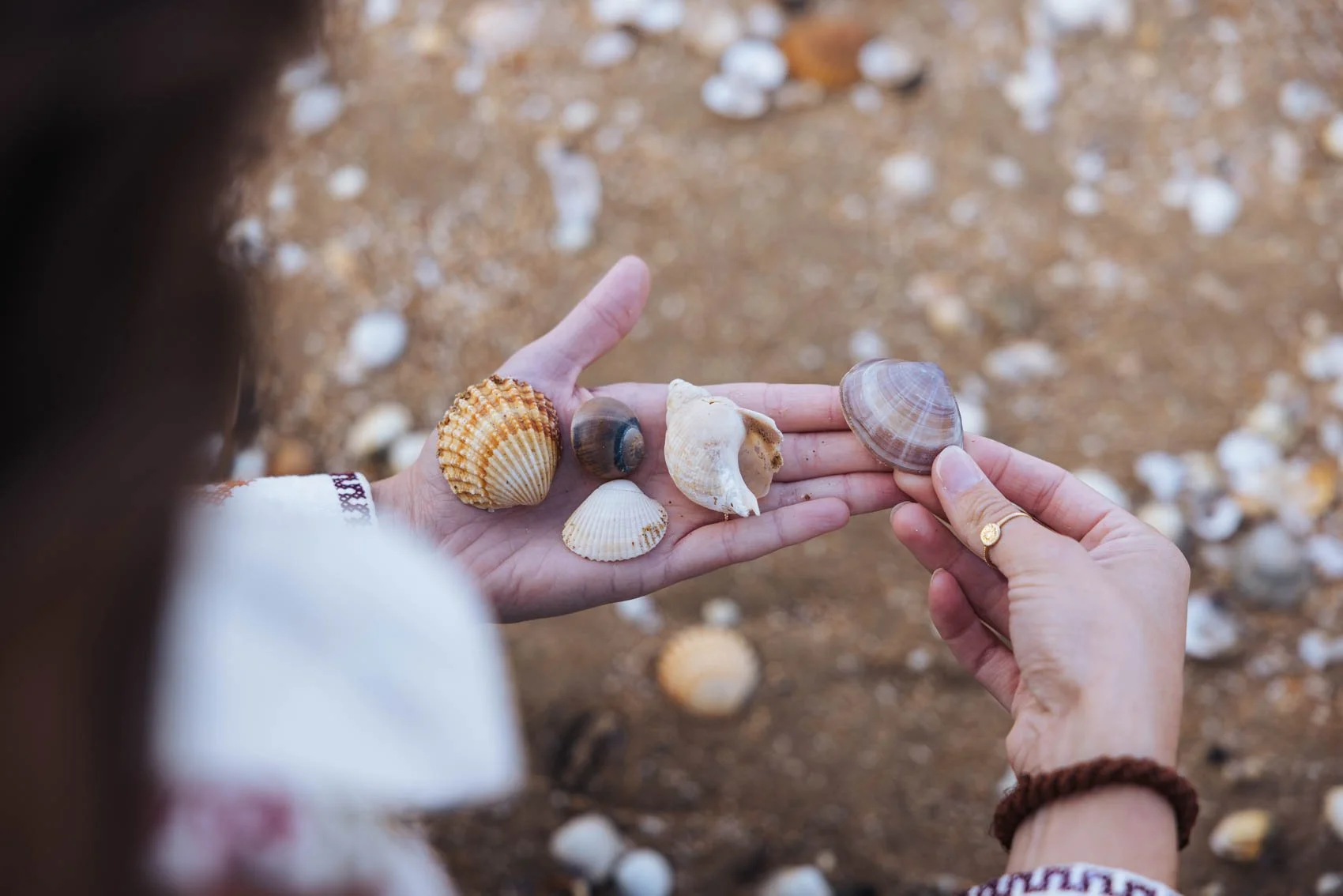 Week end Normandie Pays Auge Houlgate plage mer