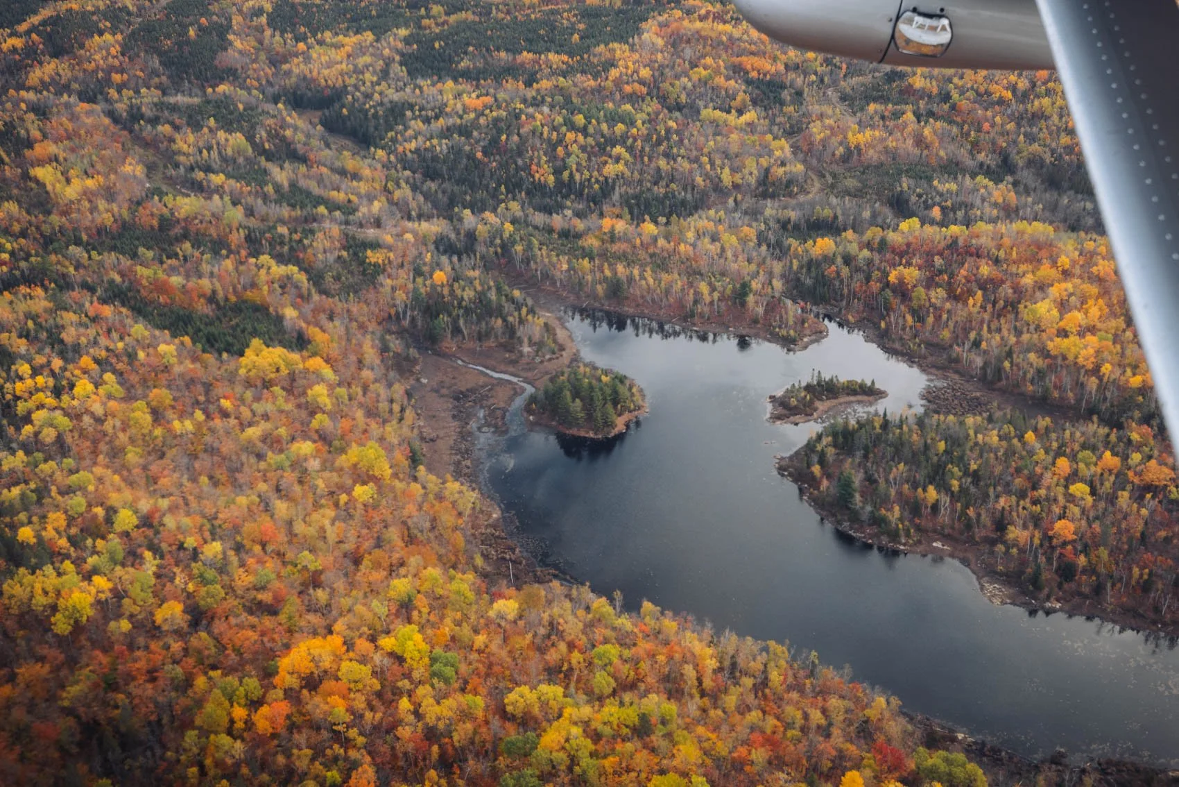 Itinéraire road trip Québec Automne Parc national Mauricie hydravion vol survol forêts feuilles lac