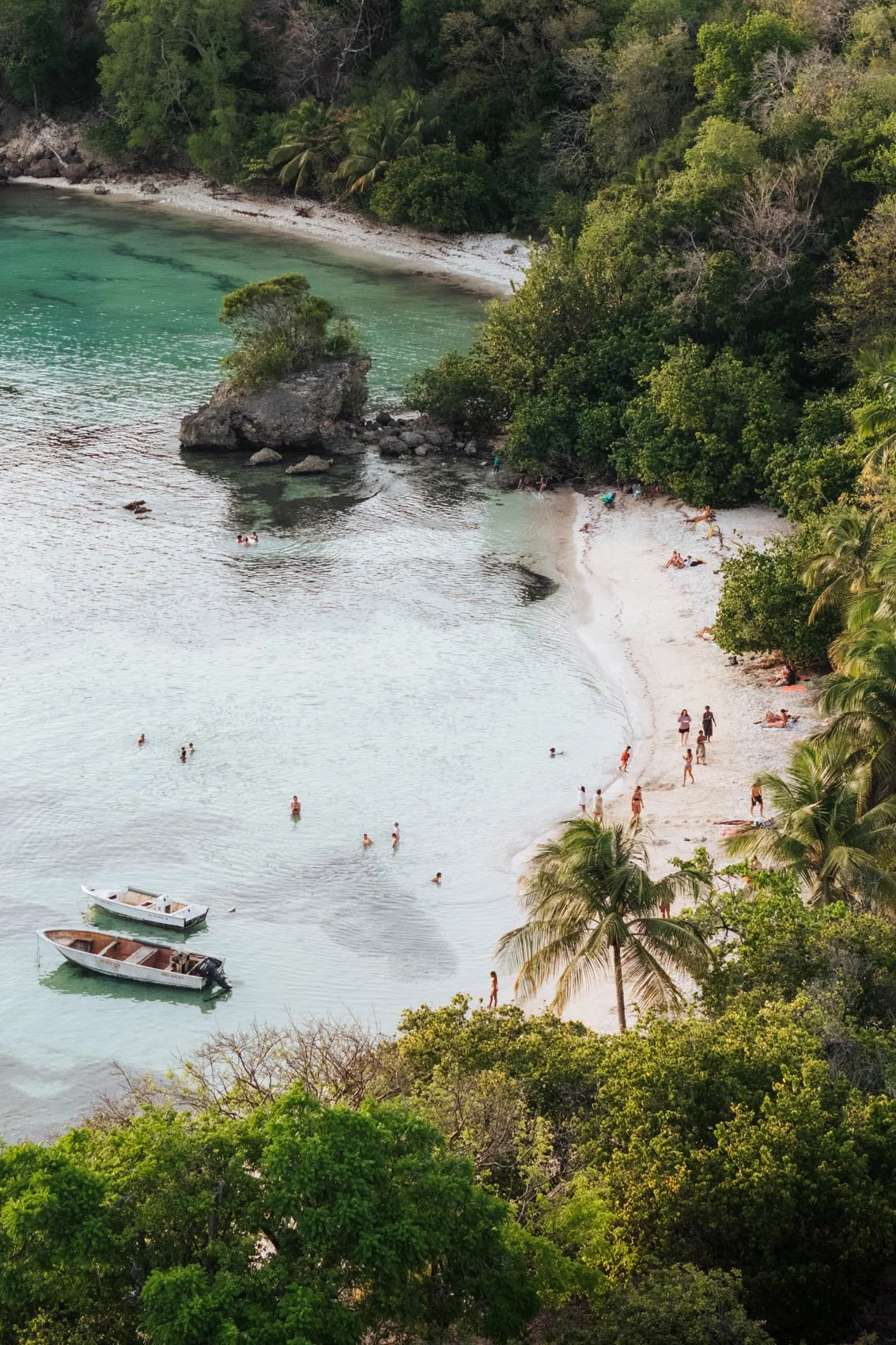 Plage de Petit Havre Guadeloupe cocotier drone