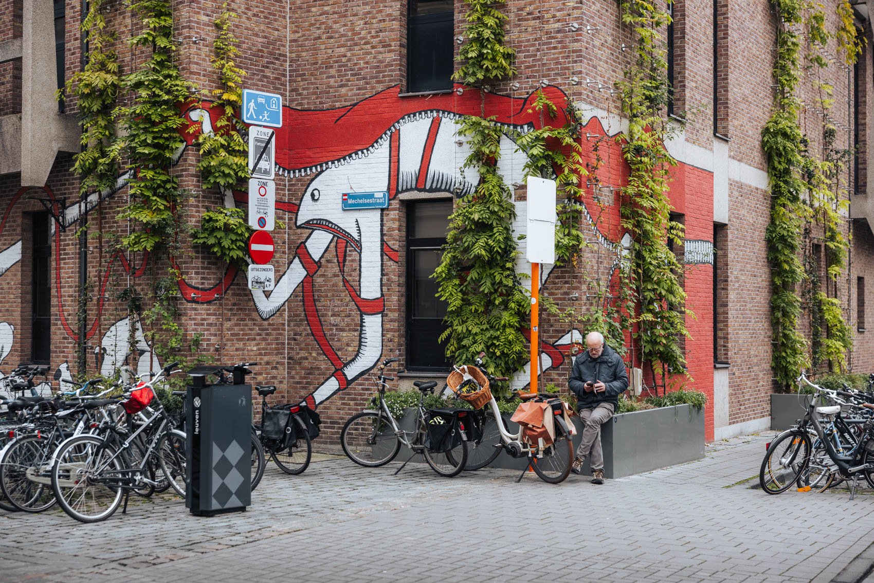 Louvain Leuven Belgique fresque street art